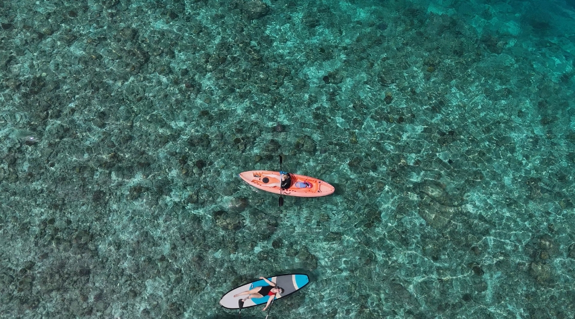 Maldives Island Hopping! Whale Sharks, Manta Ray, Shipwreck & Resort Visit customer review photo 1