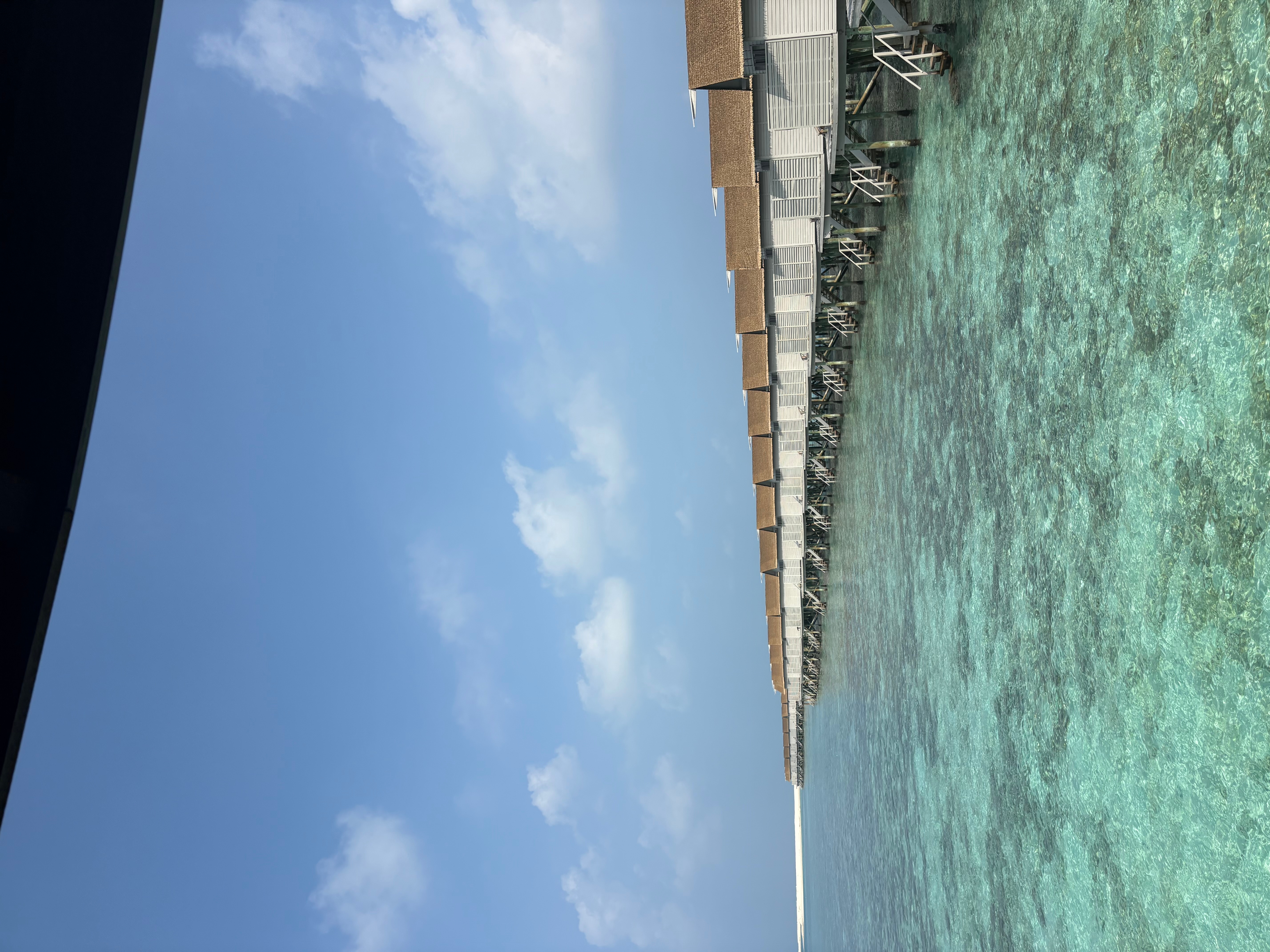 Maldives Island Hopping! Whale Sharks, Manta Ray, Shipwreck & Resort Visit customer review photo 2