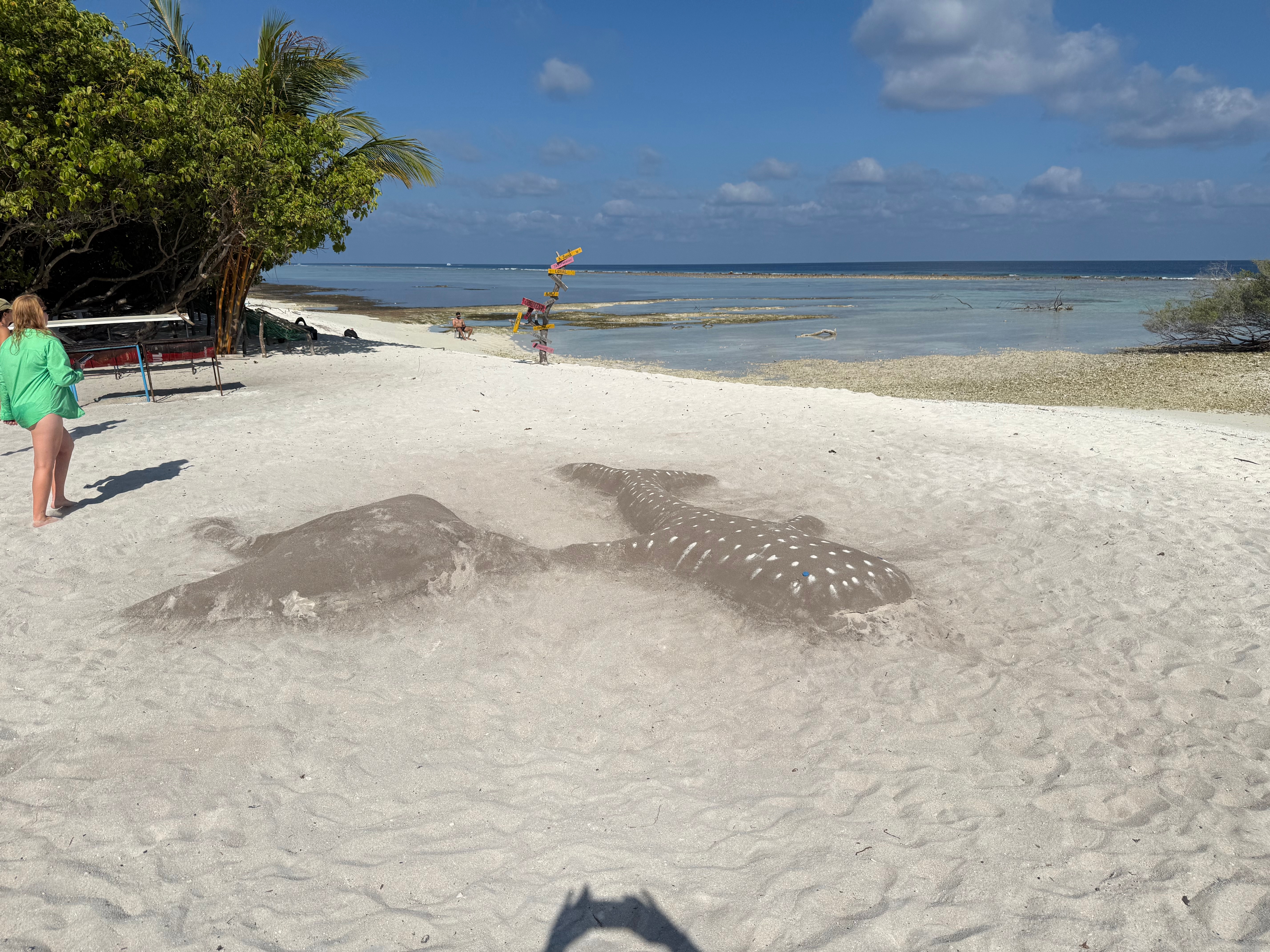 Maldives Island Hopping! Whale Sharks, Manta Ray, Shipwreck & Resort Visit customer review photo 5