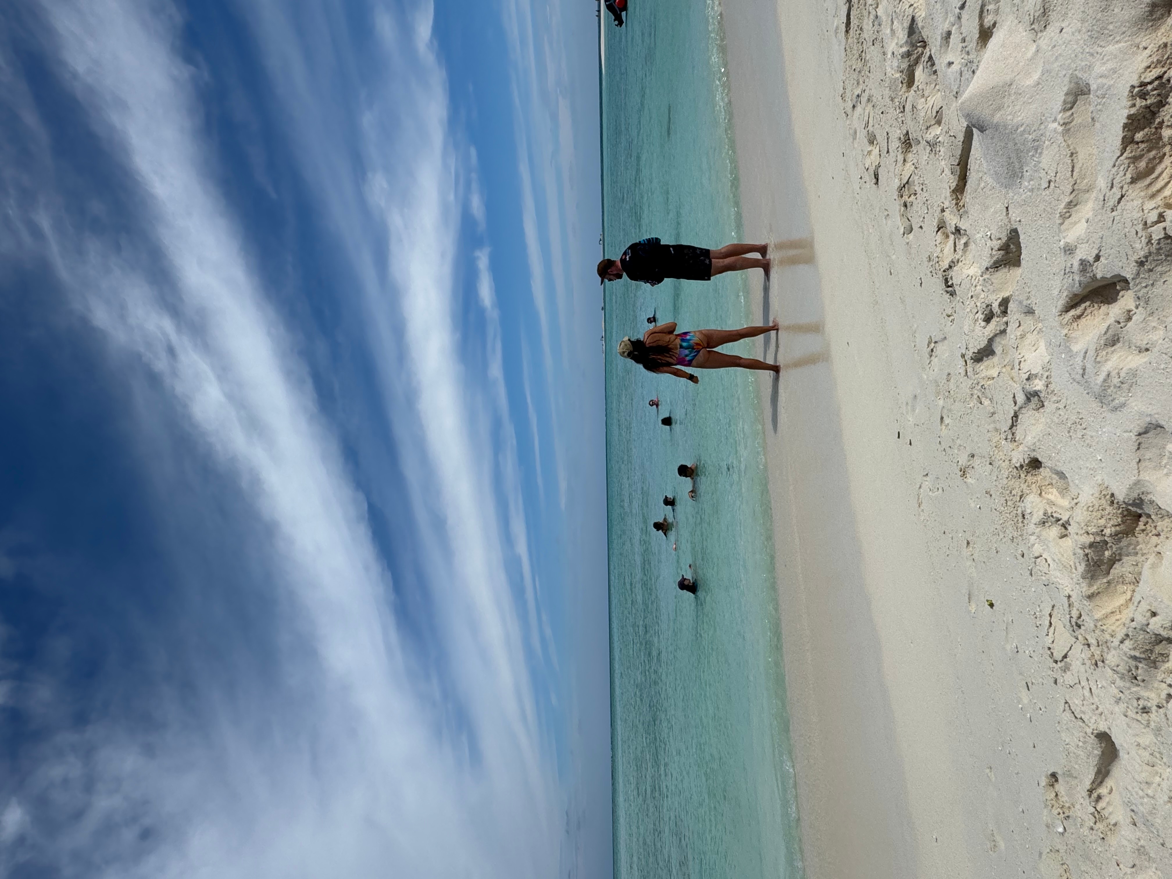 Maldives Island Hopping! Whale Sharks, Manta Ray, Shipwreck & Resort Visit customer review photo 4