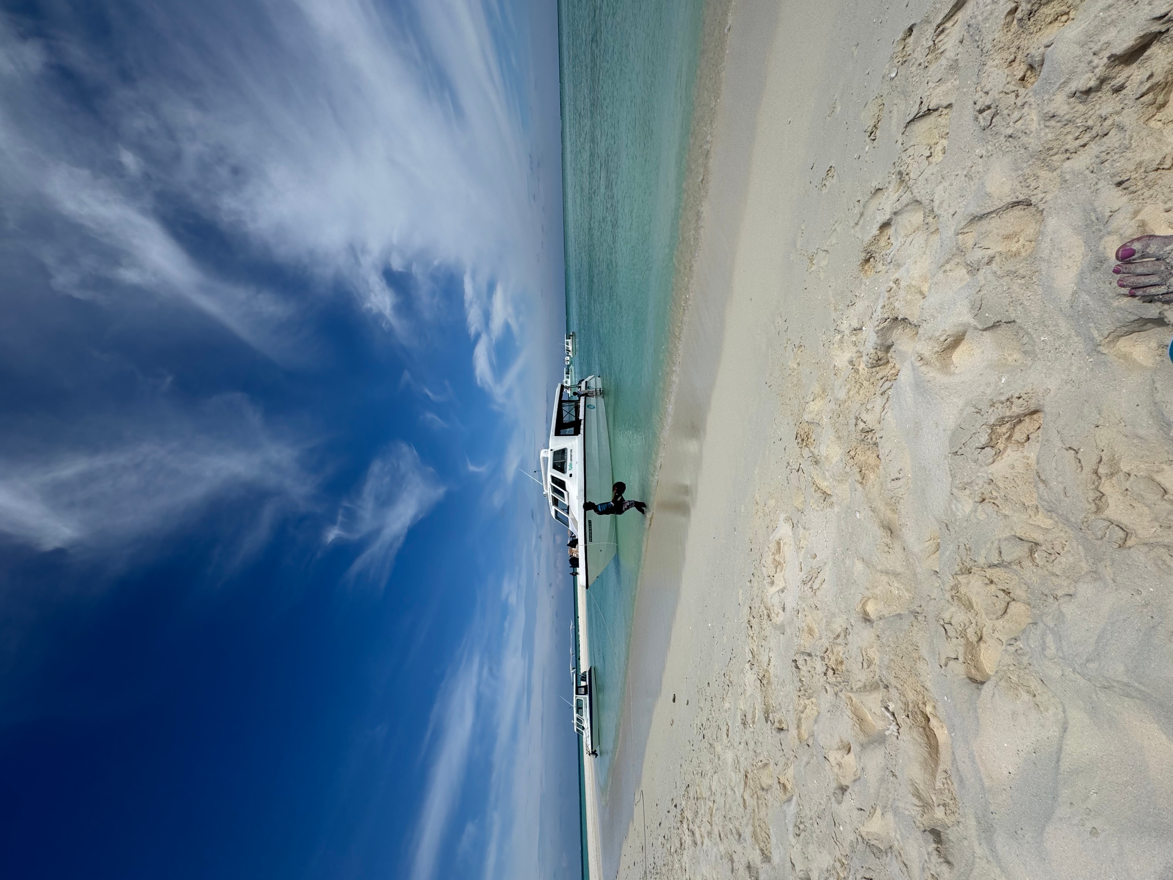 Maldives Island Hopping! Whale Sharks, Manta Ray, Shipwreck & Resort Visit customer review photo 5