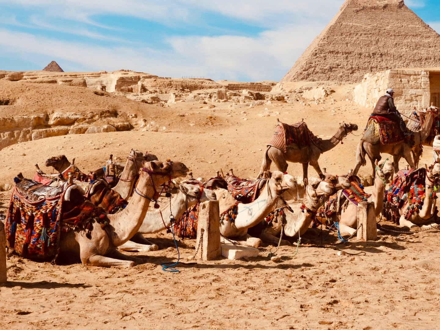 8 Days Pyramids (GEM visit) and Nile Cruise Aswan - Abu simbel - Luxor - Hurghada customer review photo 1