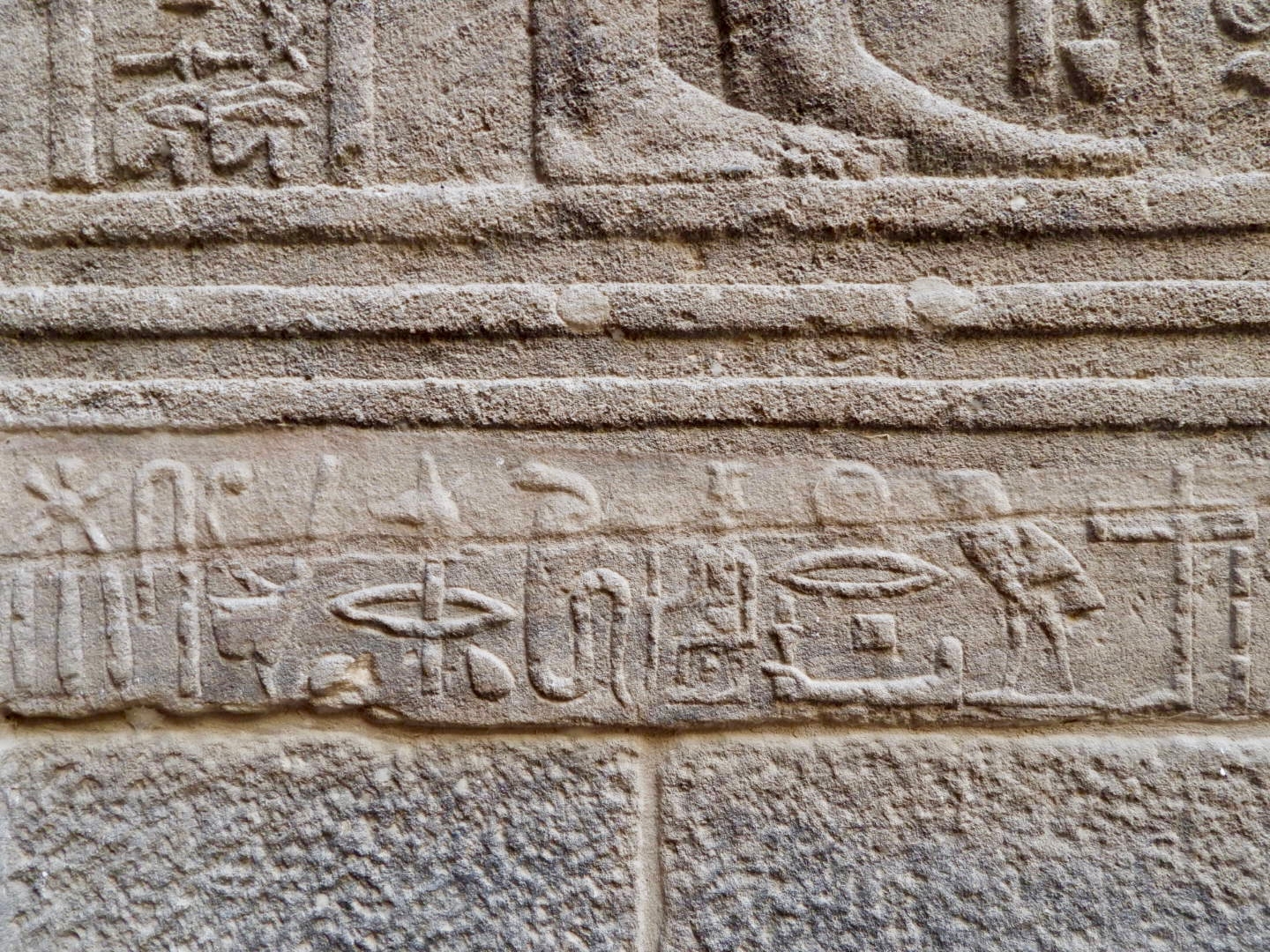 8 Days Pyramids (GEM visit) and Nile Cruise Aswan - Abu simbel - Luxor - Hurghada customer review photo 2