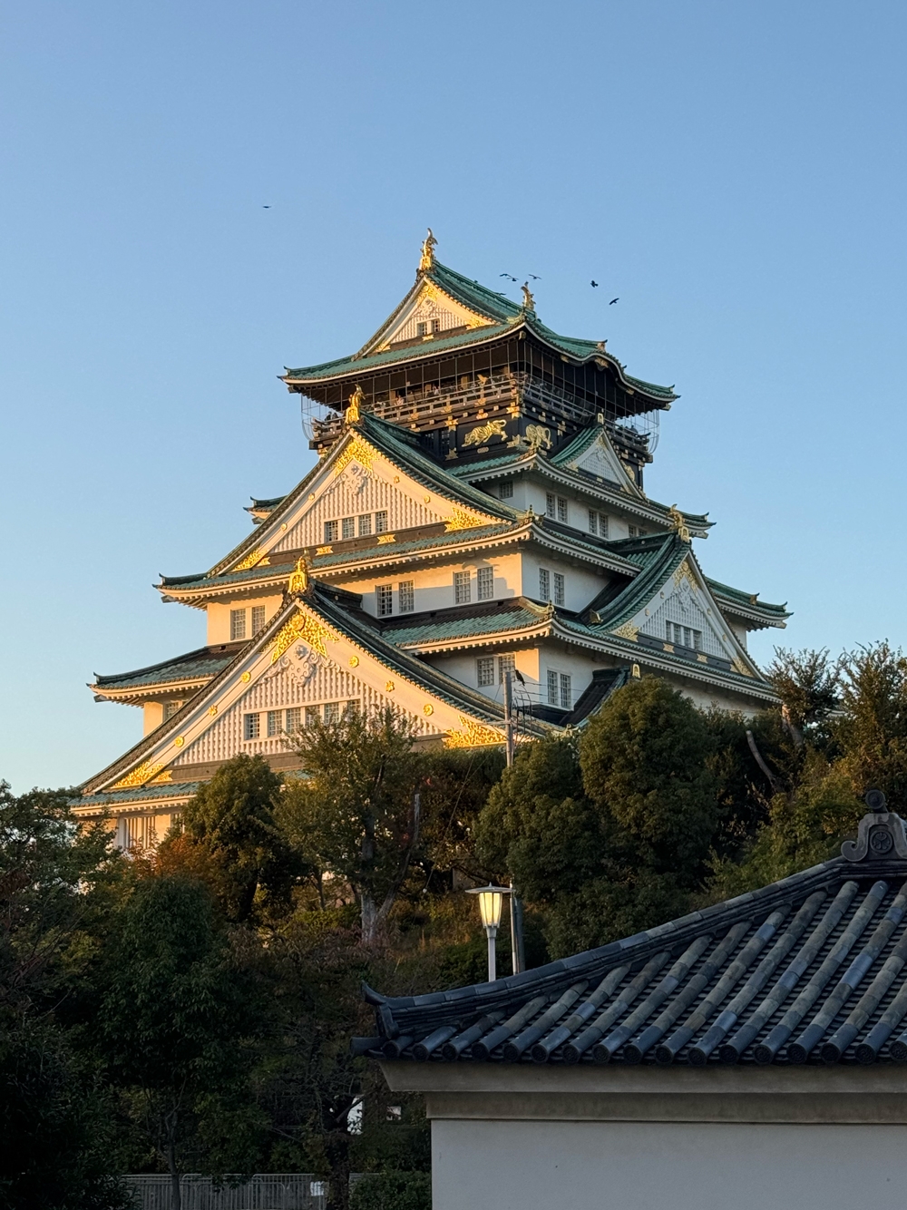 Japan Klassiker mit One Life Adventures 10 Tage customer review photo 2