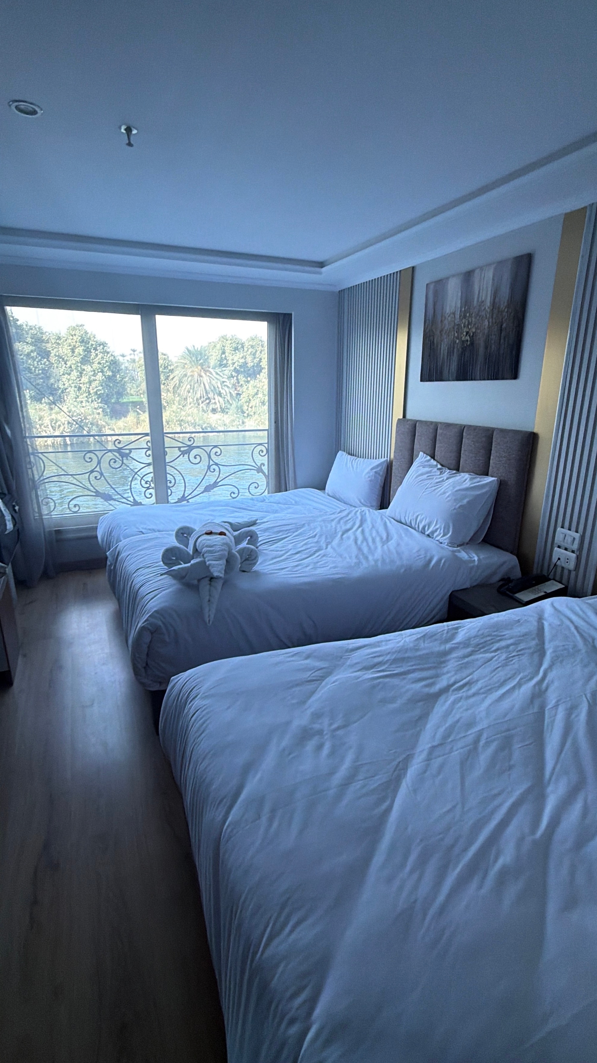 5 Days – 4 Nights Nile Cruise 5 Star From Cairo by Flight customer review photo 2