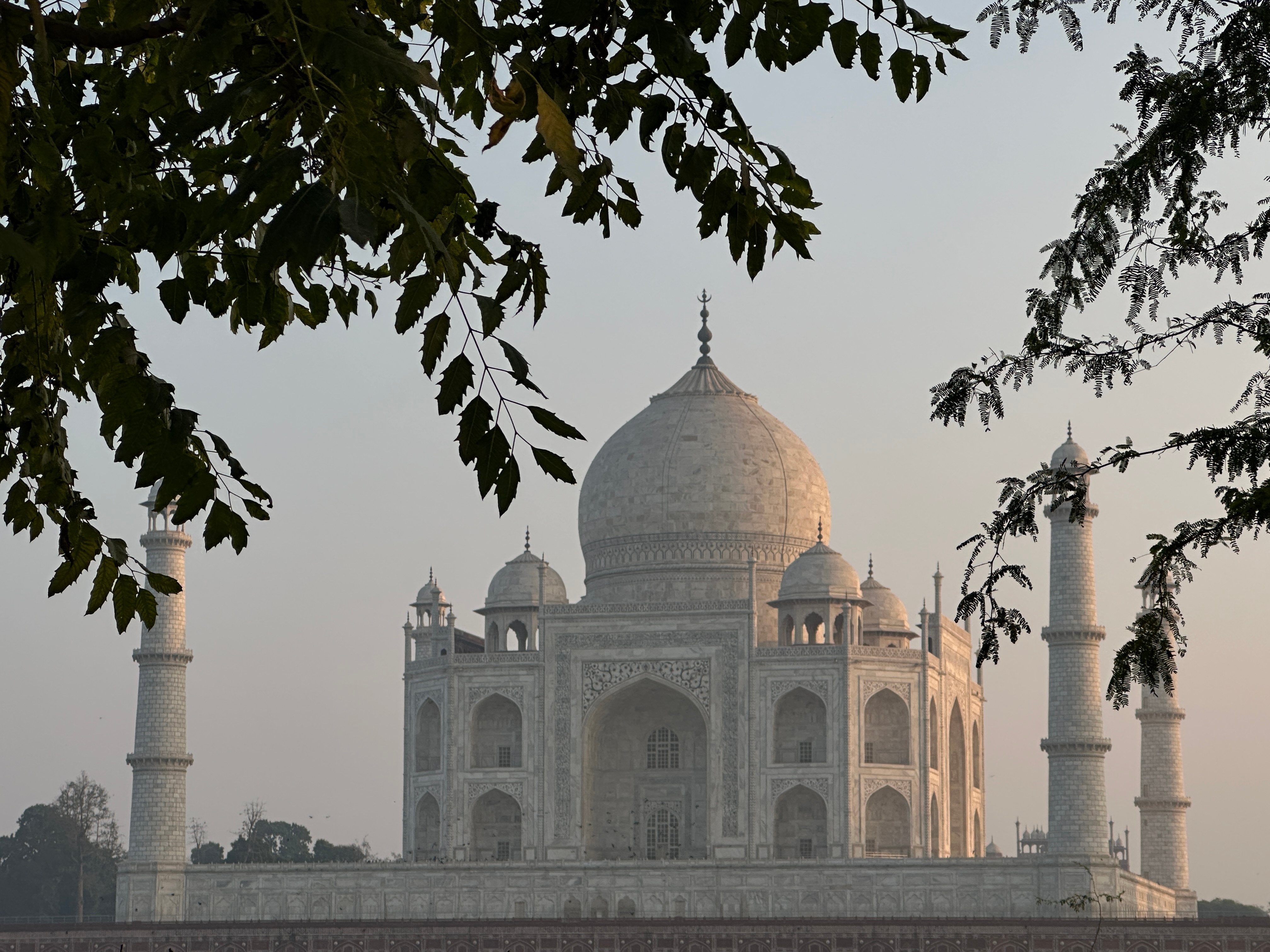Taj Mahal nachttour met de auto vanuit New Delhi customer review photo 3