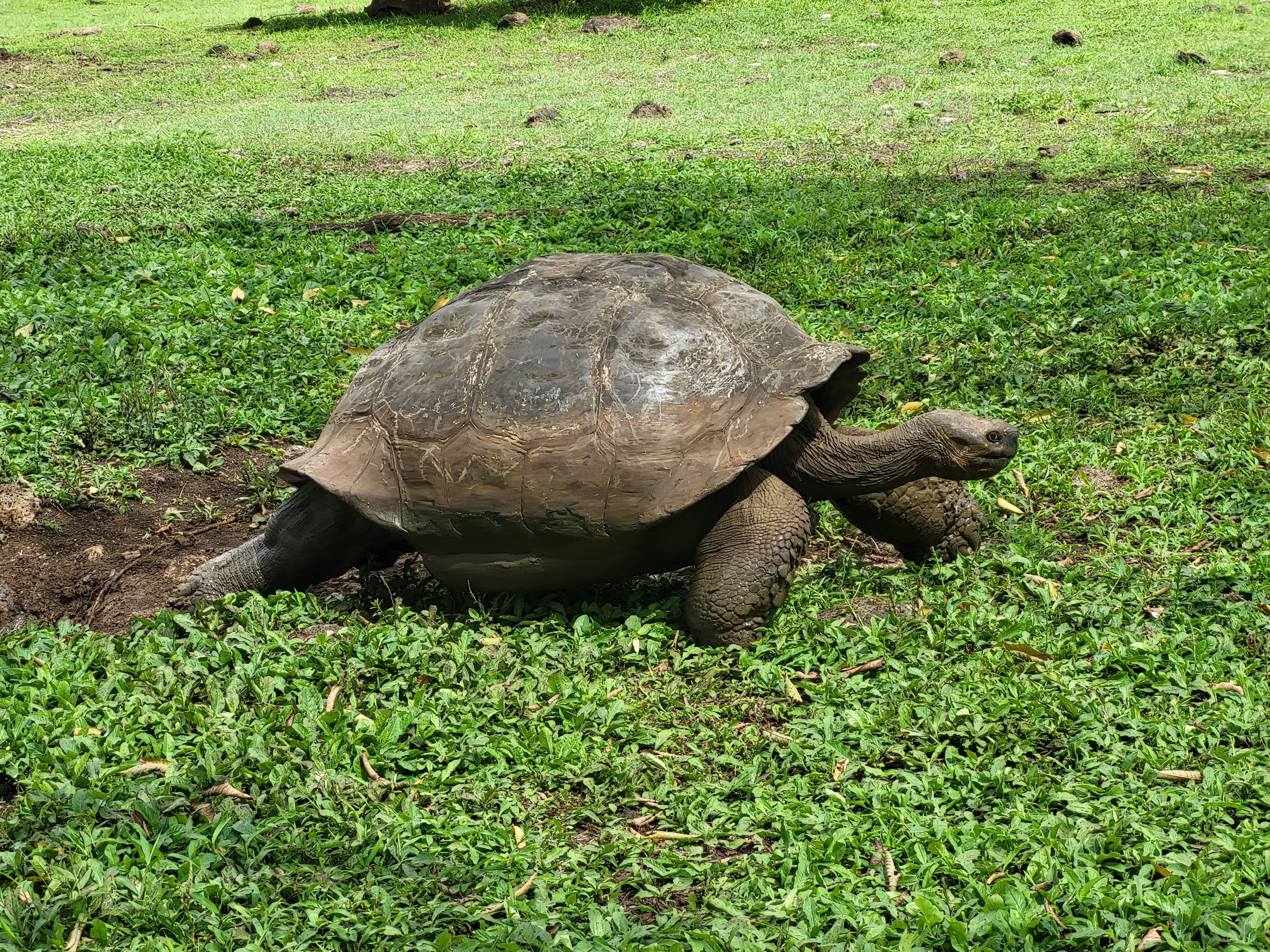 Galapagos Erschwinglich: Santa Cruz, Isabela & San Cristobal 8 Tage customer review photo 1
