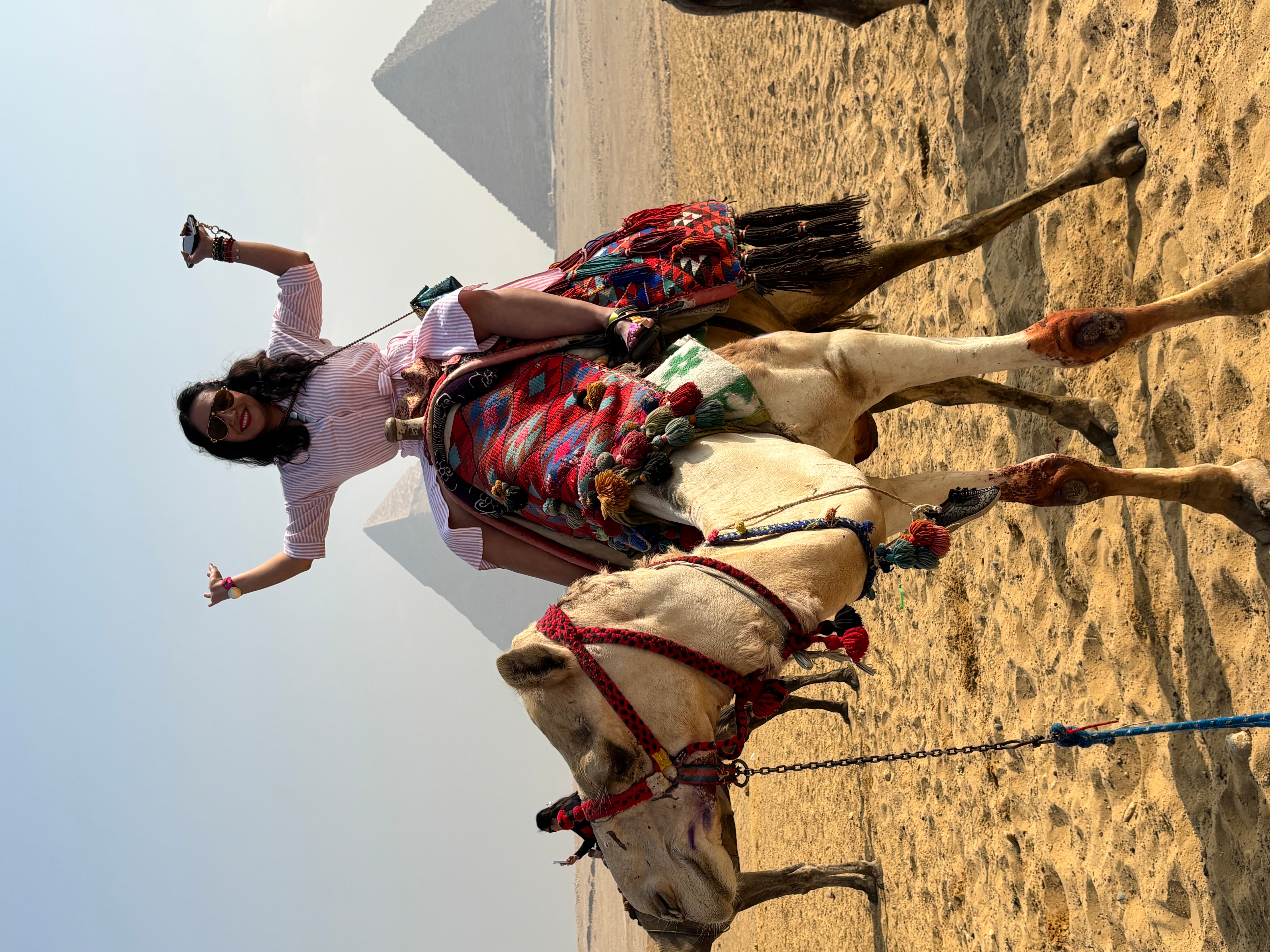 Queen Cleopatra - 7 days GEM visit- 5 stars accomodation customer review photo 3
