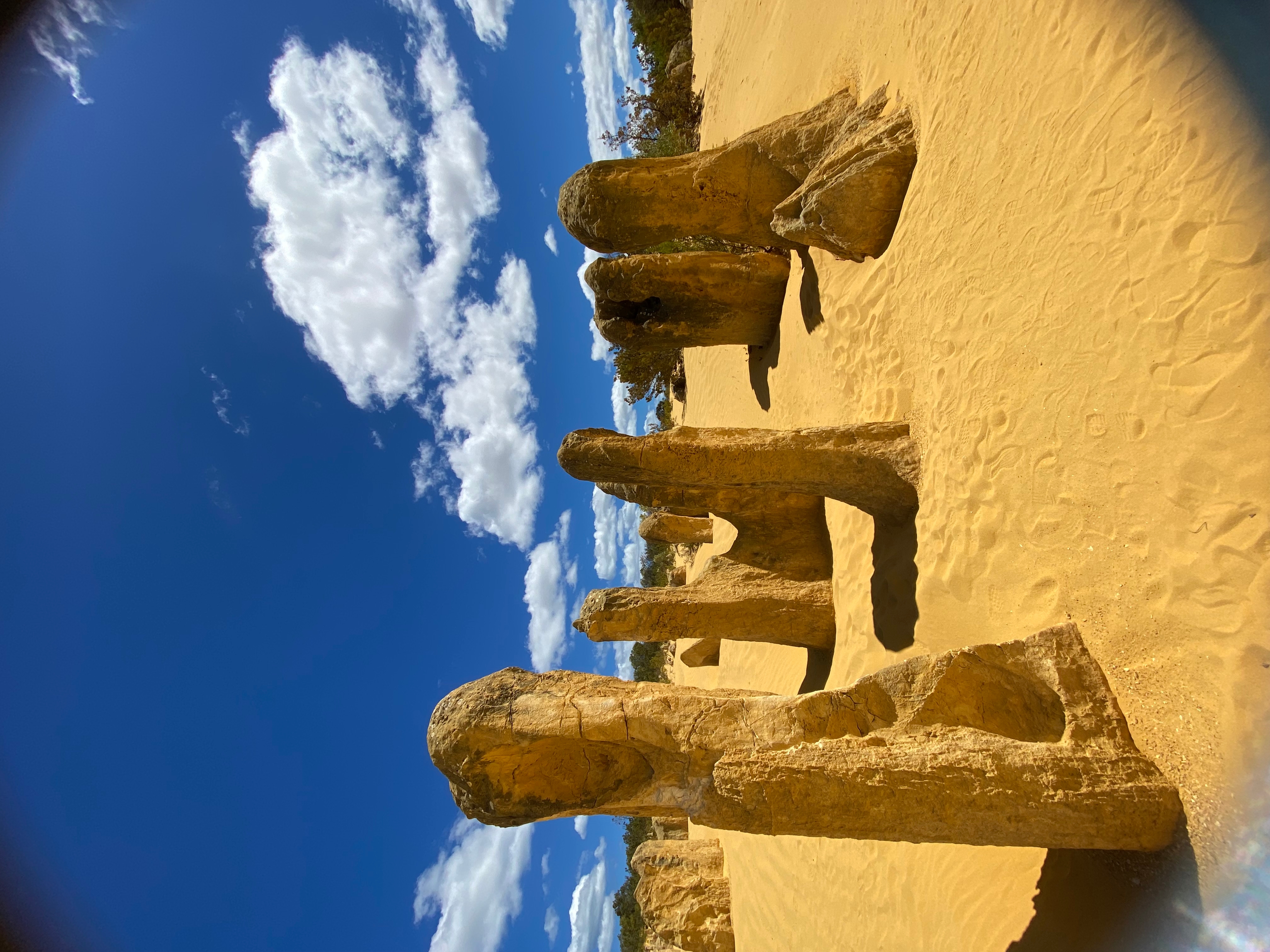Perth nach Exmouth Explorer & Ningaloo Reef 7 Tage customer review photo 1