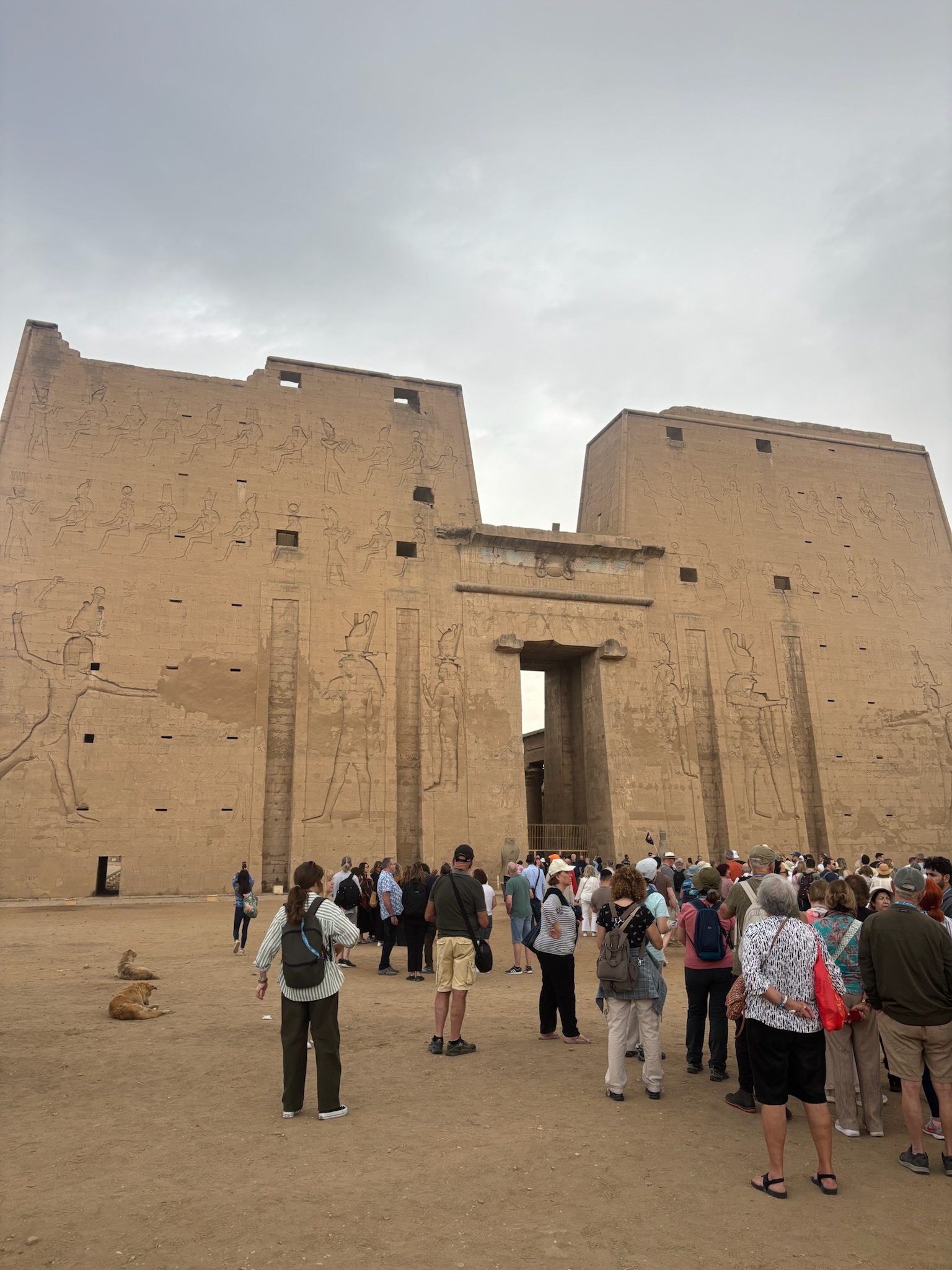 5 Days – 4 Nights Nile Cruise 5 Star From Cairo by Flight customer review photo 4