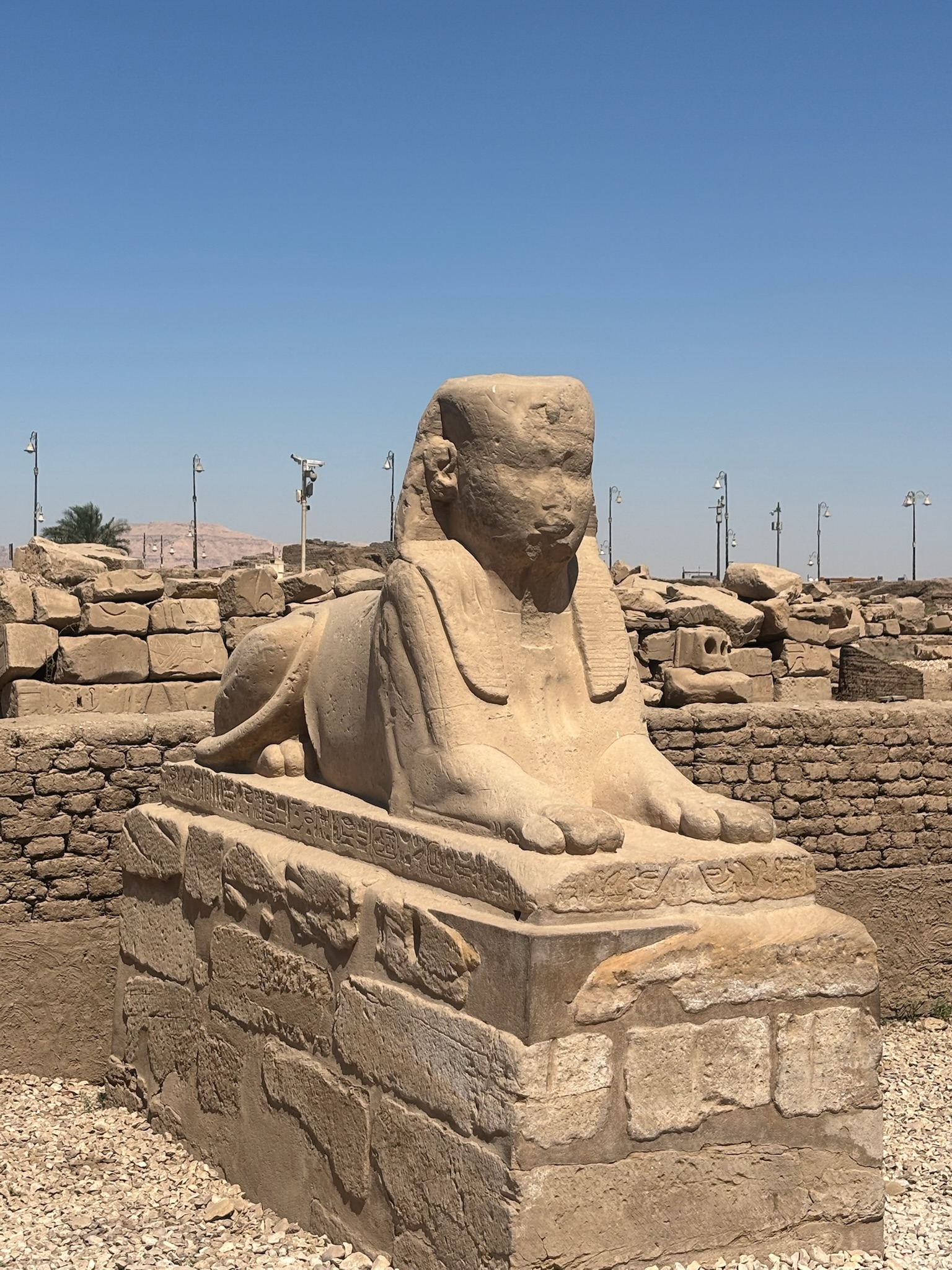 5 Days – 4 Nights Nile Cruise 5 Star From Cairo by Flight customer review photo 1