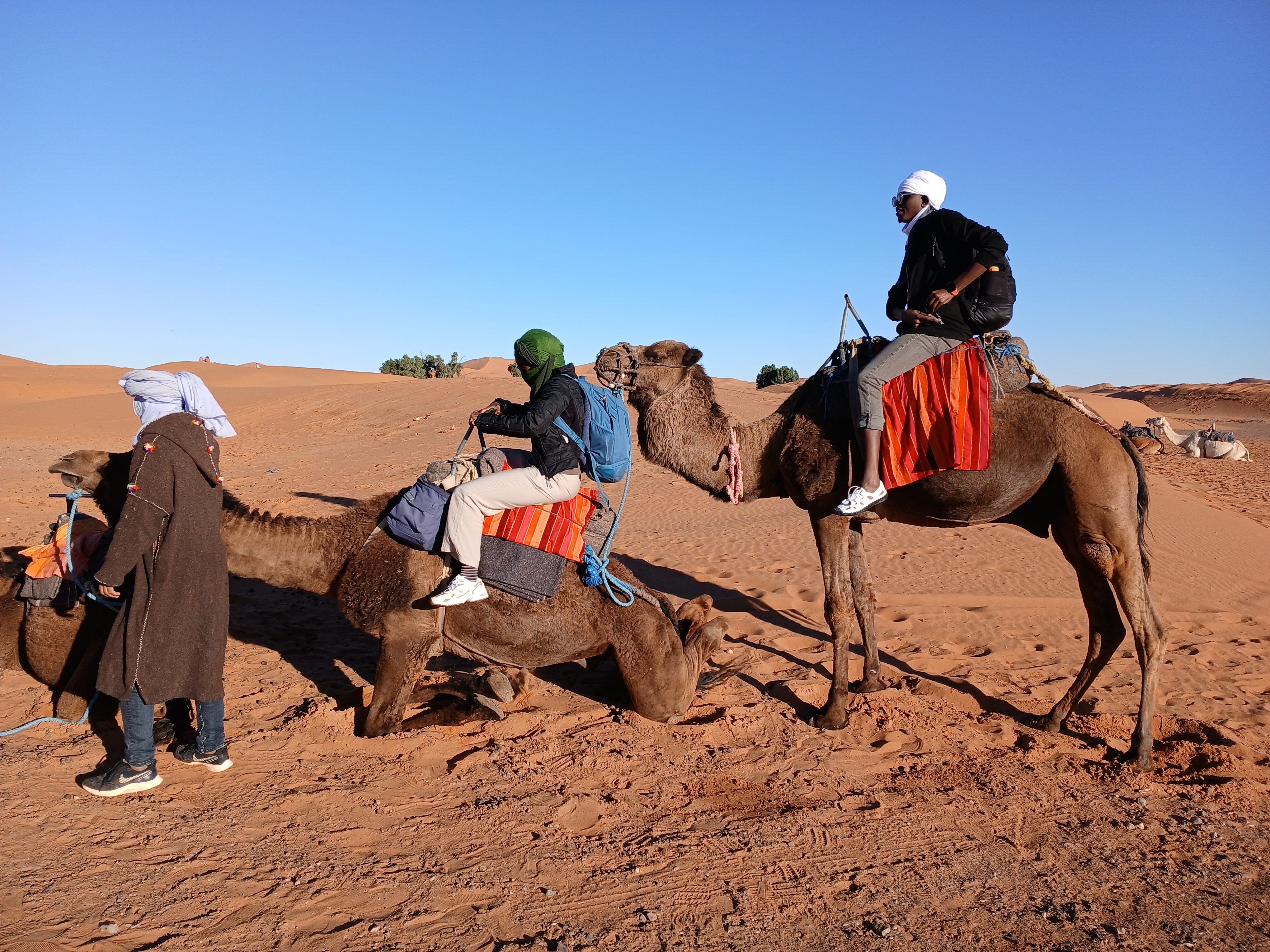Circuito de 7 días de Tánger a Marrakech por Marruecos customer review photo 3