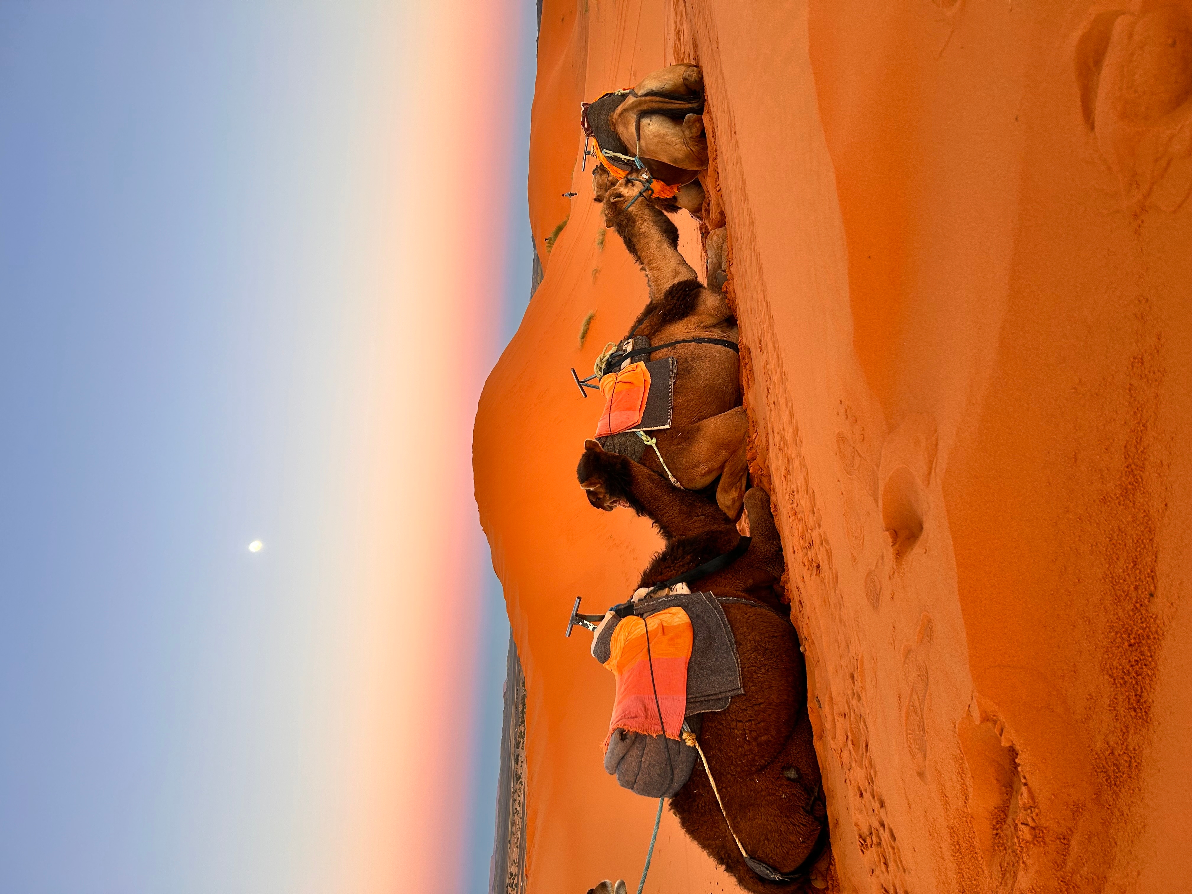 3-Daagse tocht van Fes naar Merzouga-woestijn (2 nachten Sahara-ervaring) customer review photo 2