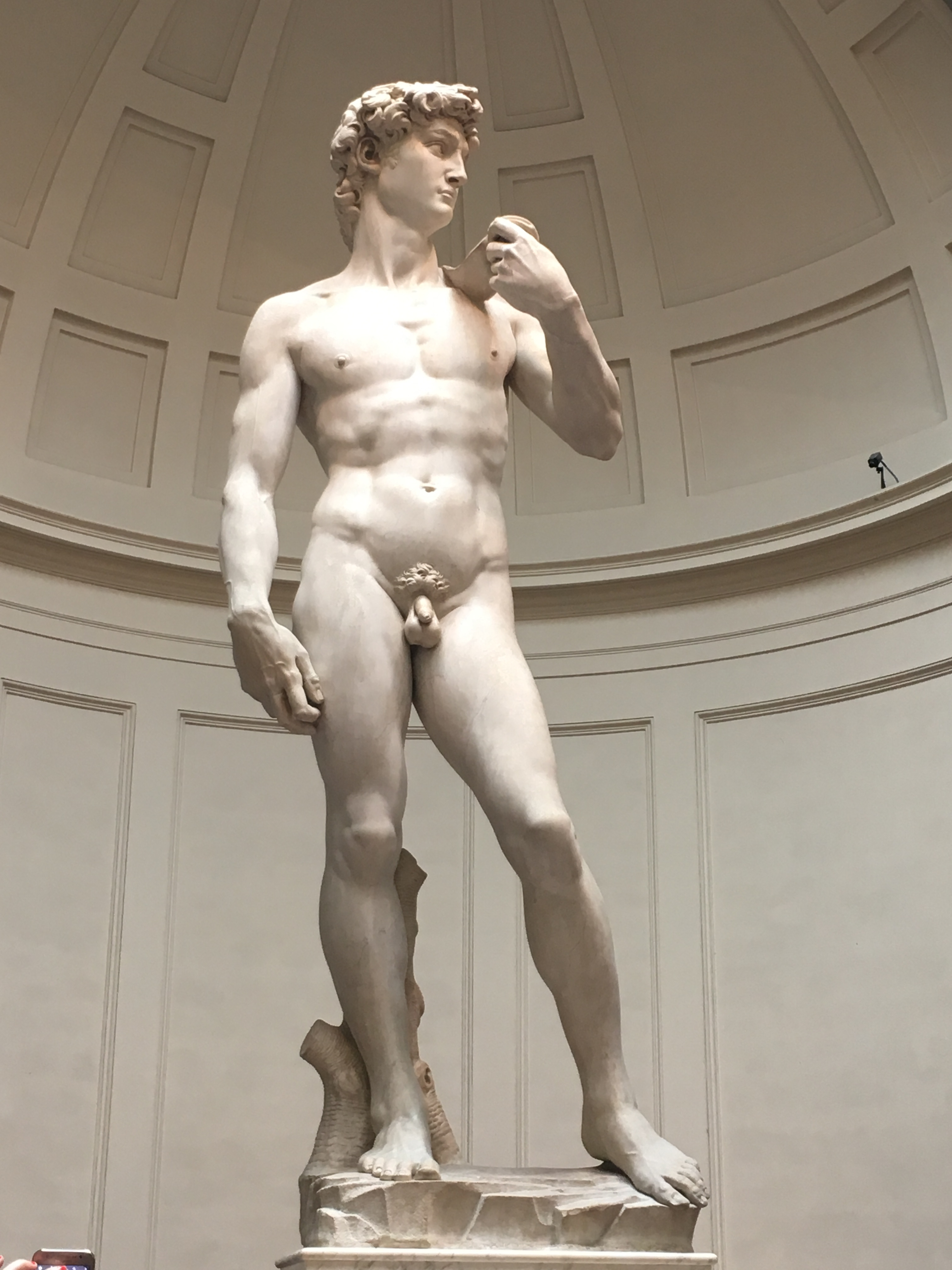 Statue of David by Michelangelo in a museum.