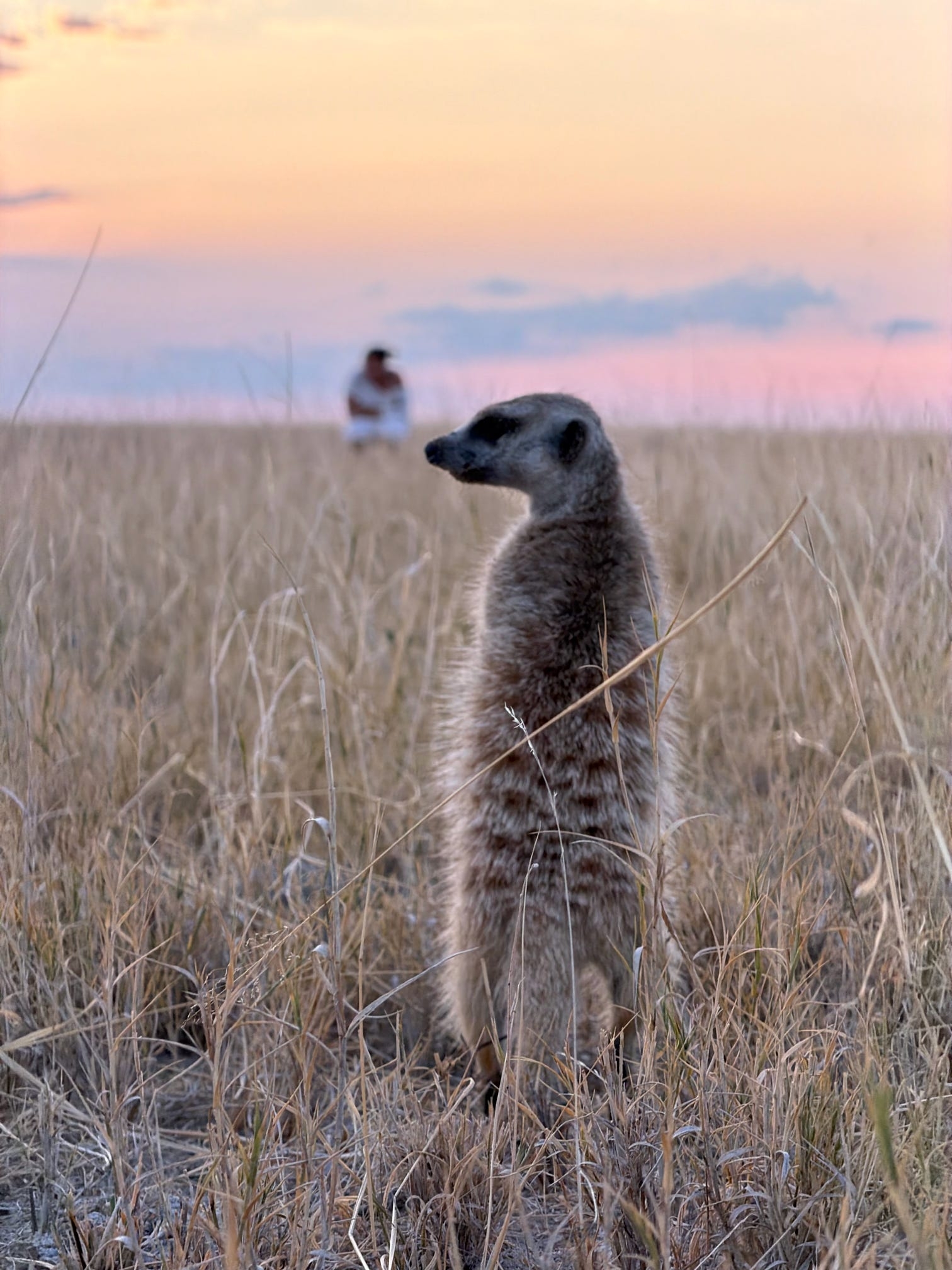 Safari por África Austral (27 destinations) customer review photo 1