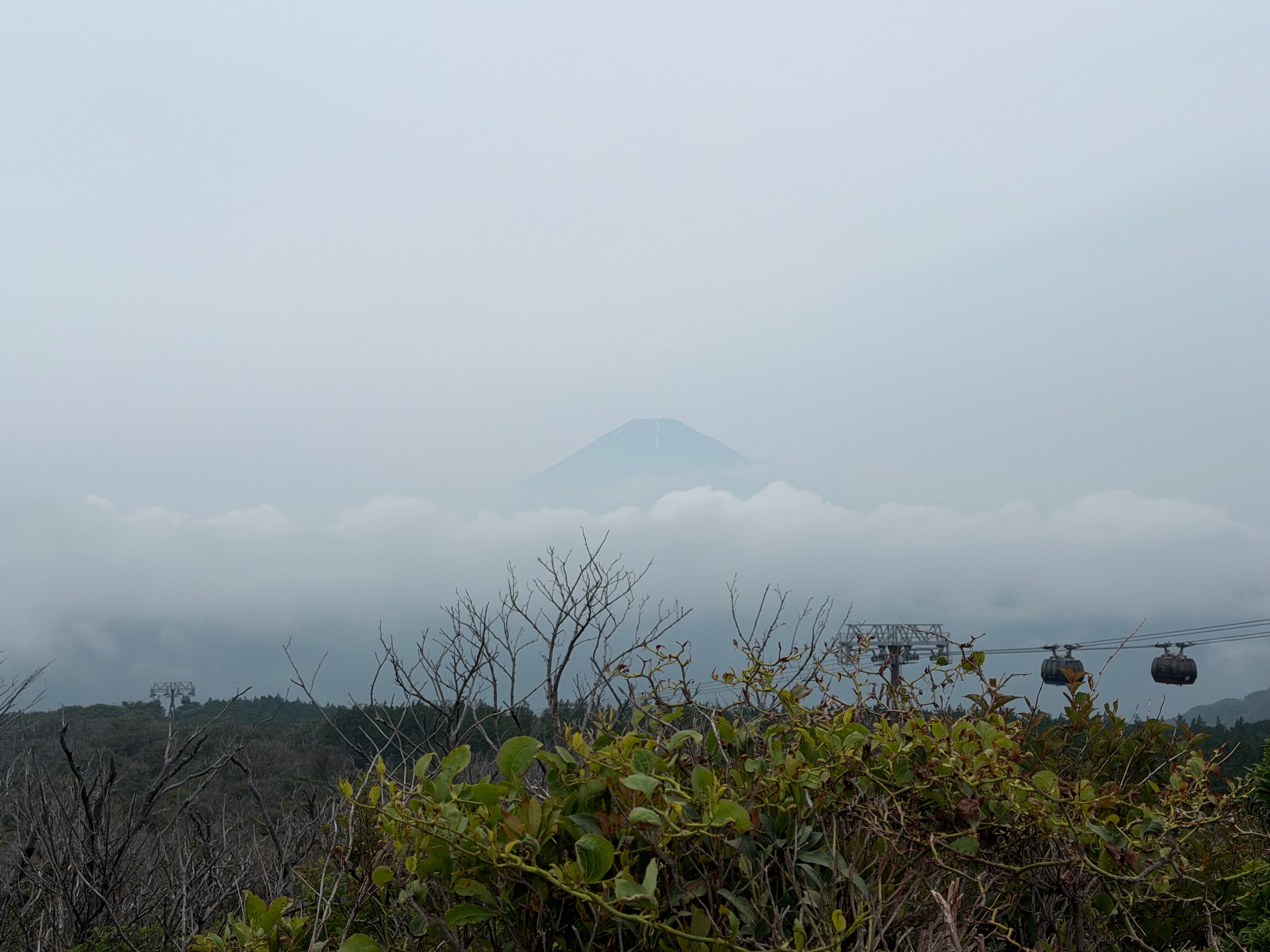 Japan Essentials 9 Day - One Life Adventures customer review photo 5