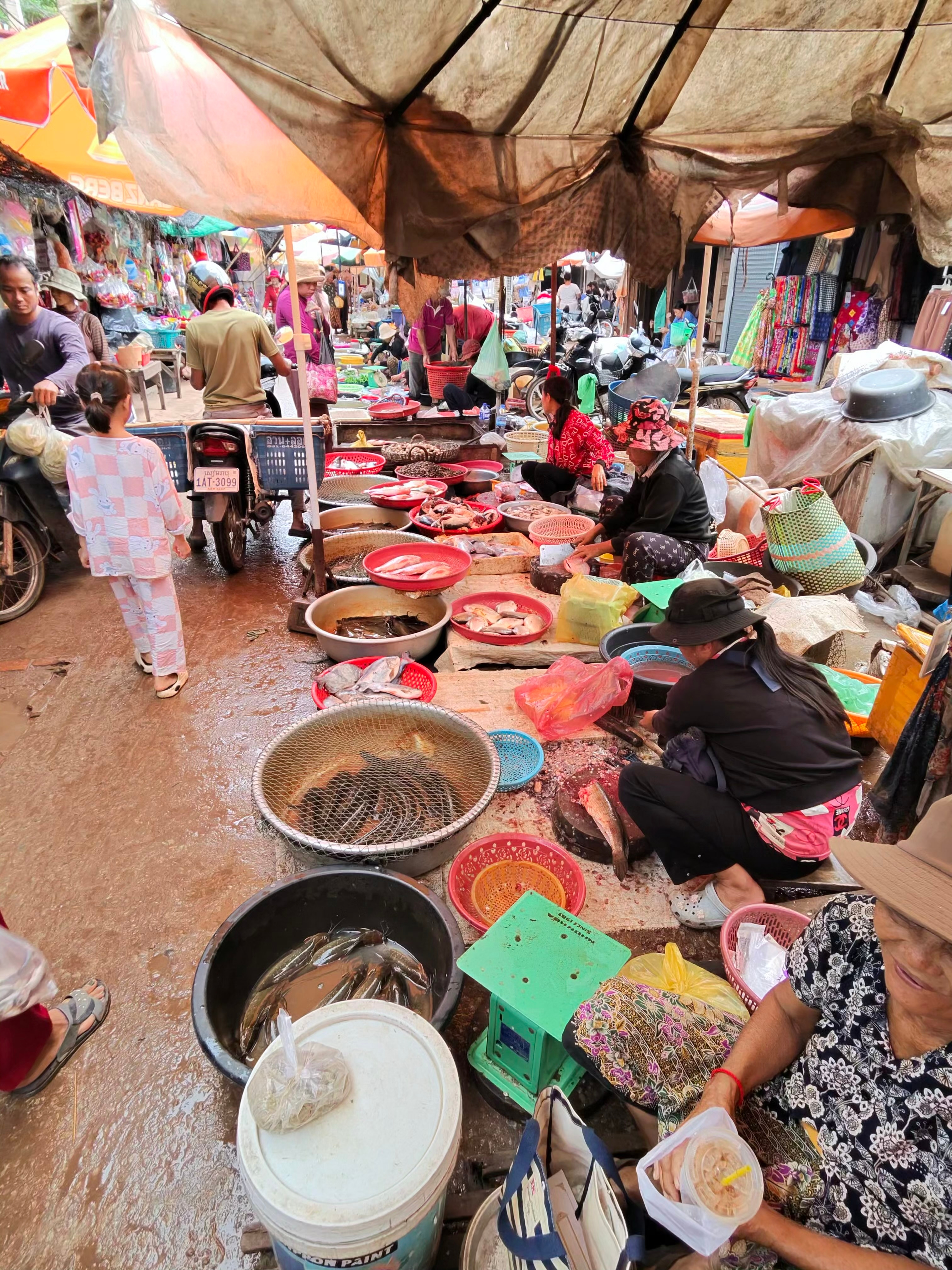 4-Daagse privéreis naar Angkor Tempels & Tonle Sap Drijvend Dorp van Cambodja Hoogtepunten customer review photo 3