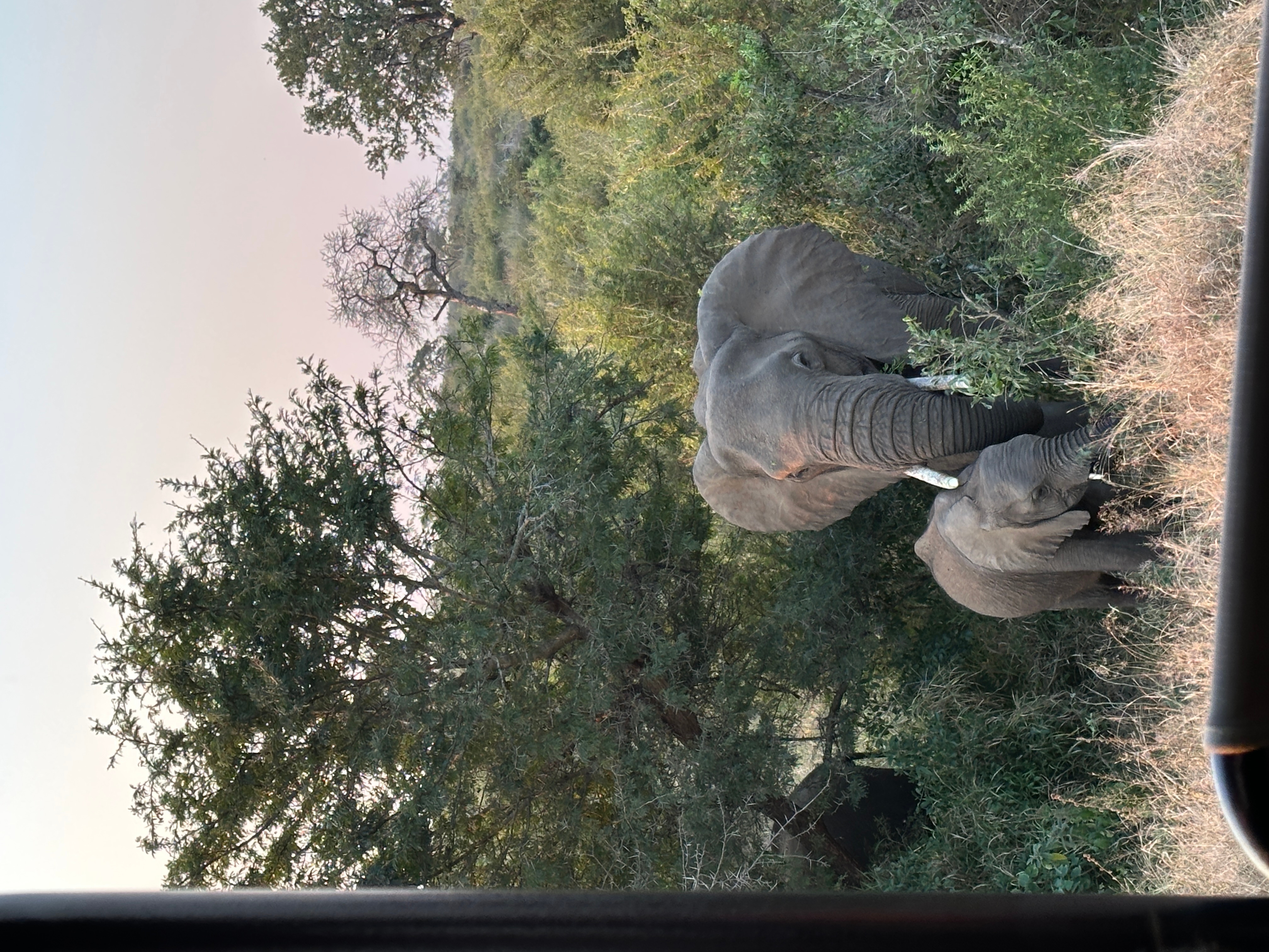 Southern Africa Safari customer review photo 3