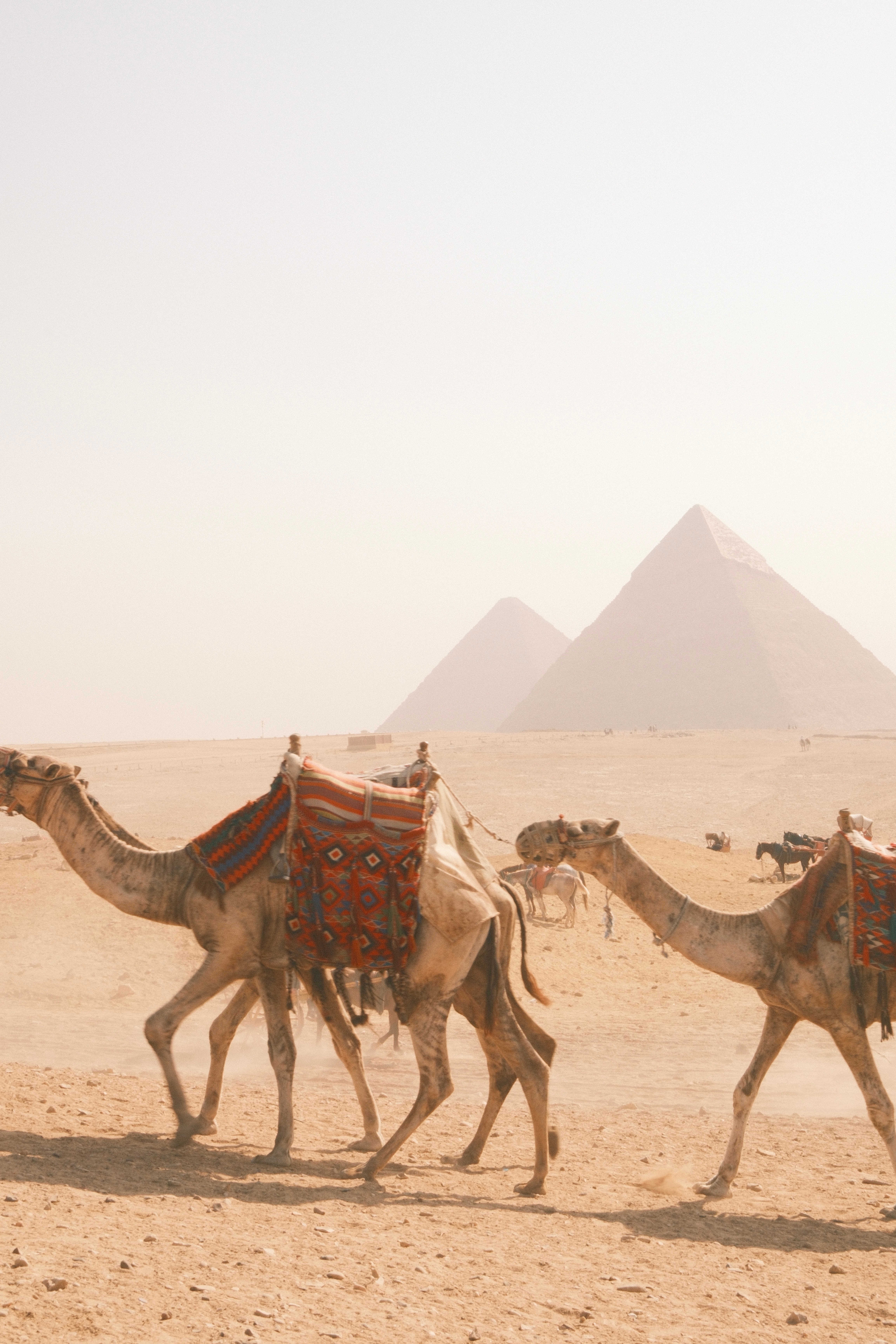 Queen Cleopatra – Pyramids, GEM, Nile Cruise & 5-Star Accommodation customer review photo 1