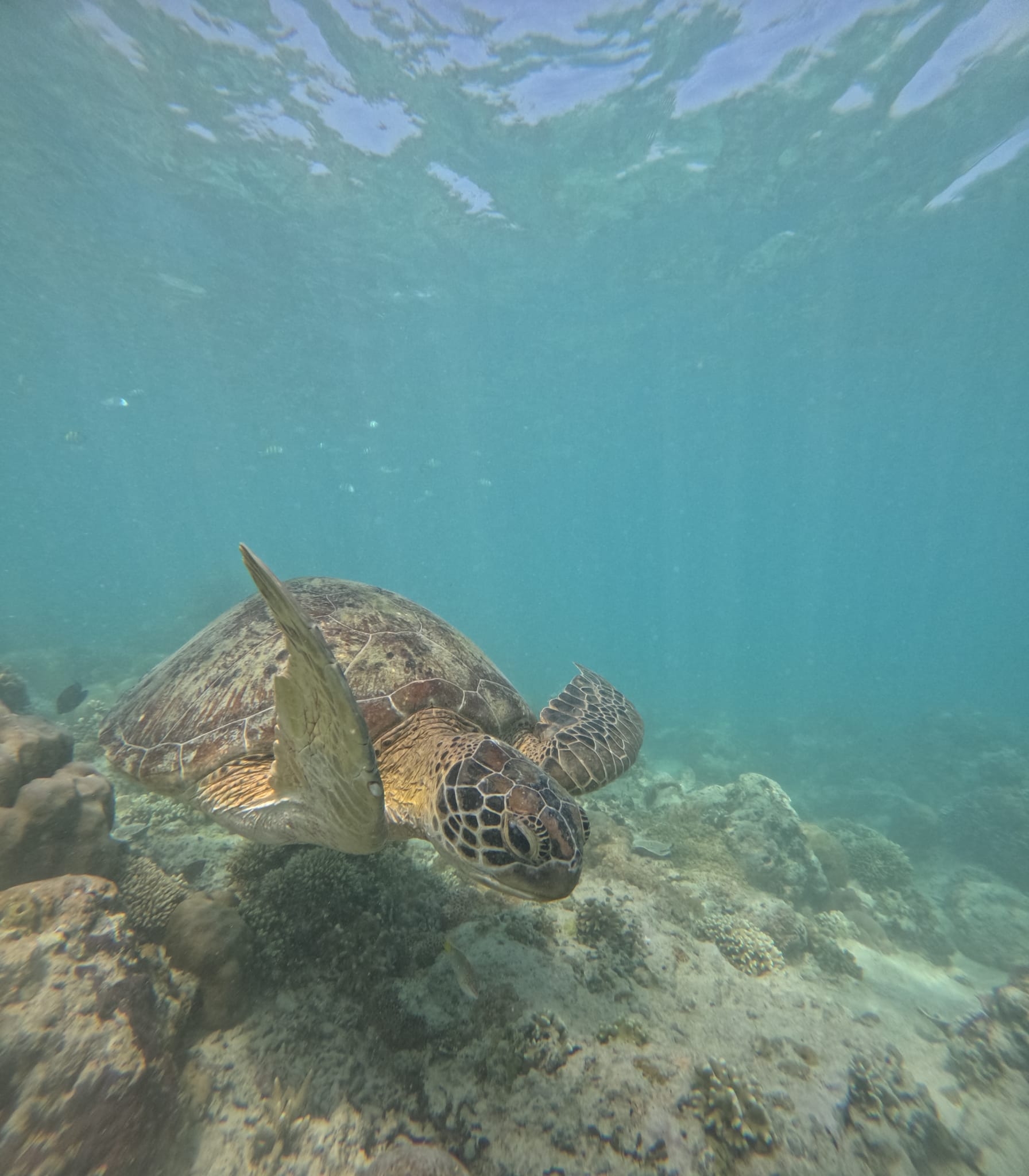 Bali Classic 12 jours - One Life Adventures customer review photo 1