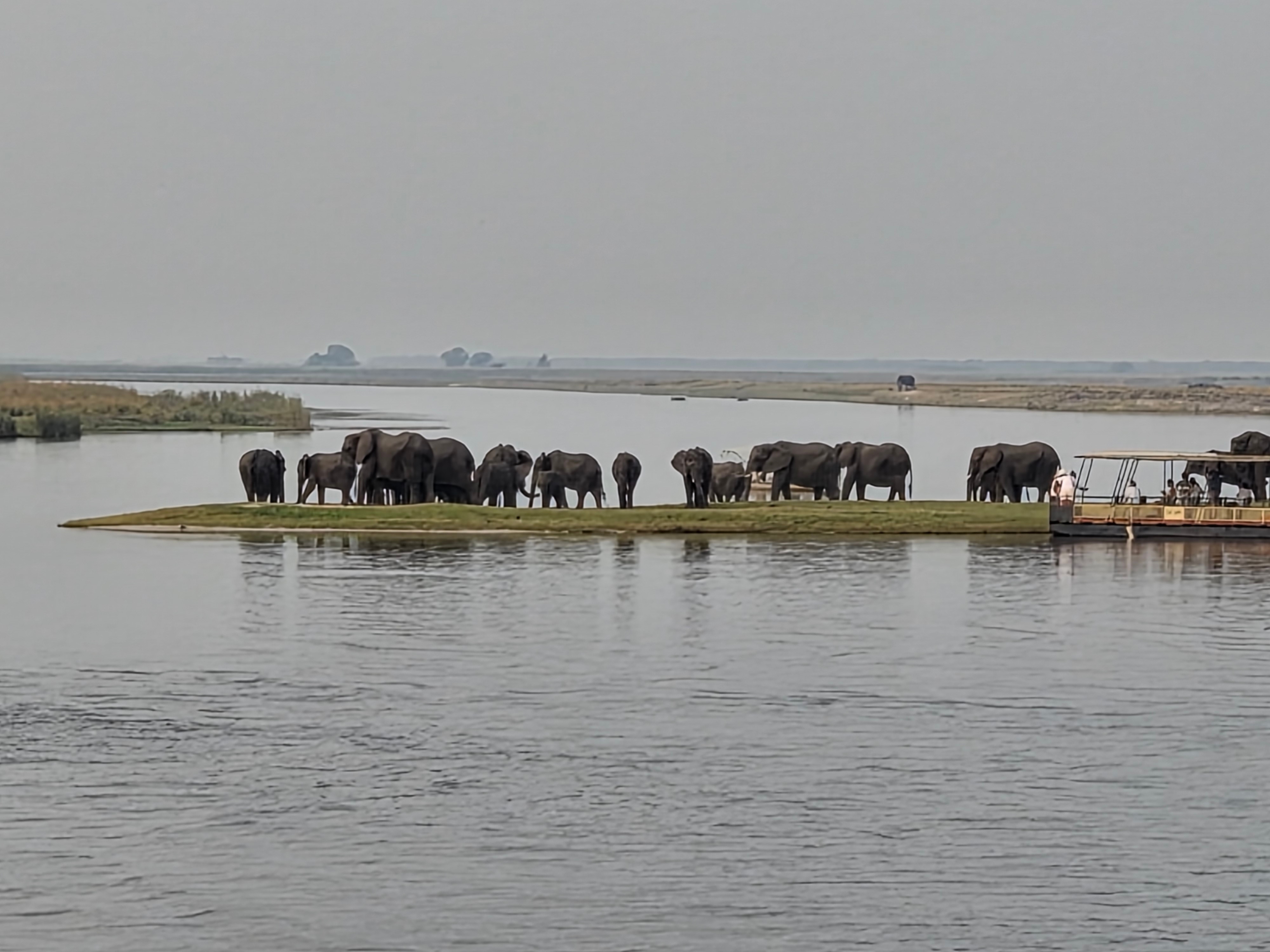 8-daagse Okavango Delta & Chobe Express (Overnachting) customer review photo 1