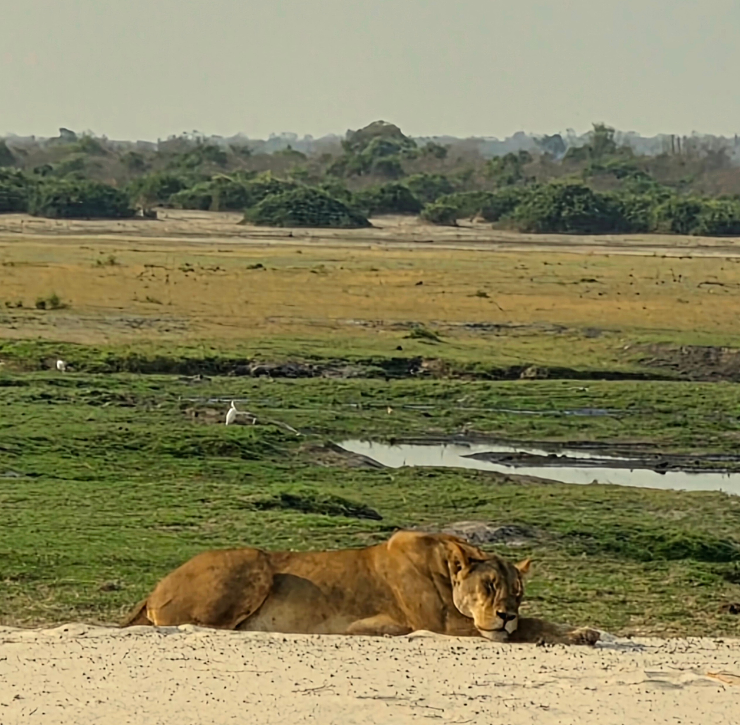 8-daagse Okavango Delta & Chobe Express (Overnachting) customer review photo 2