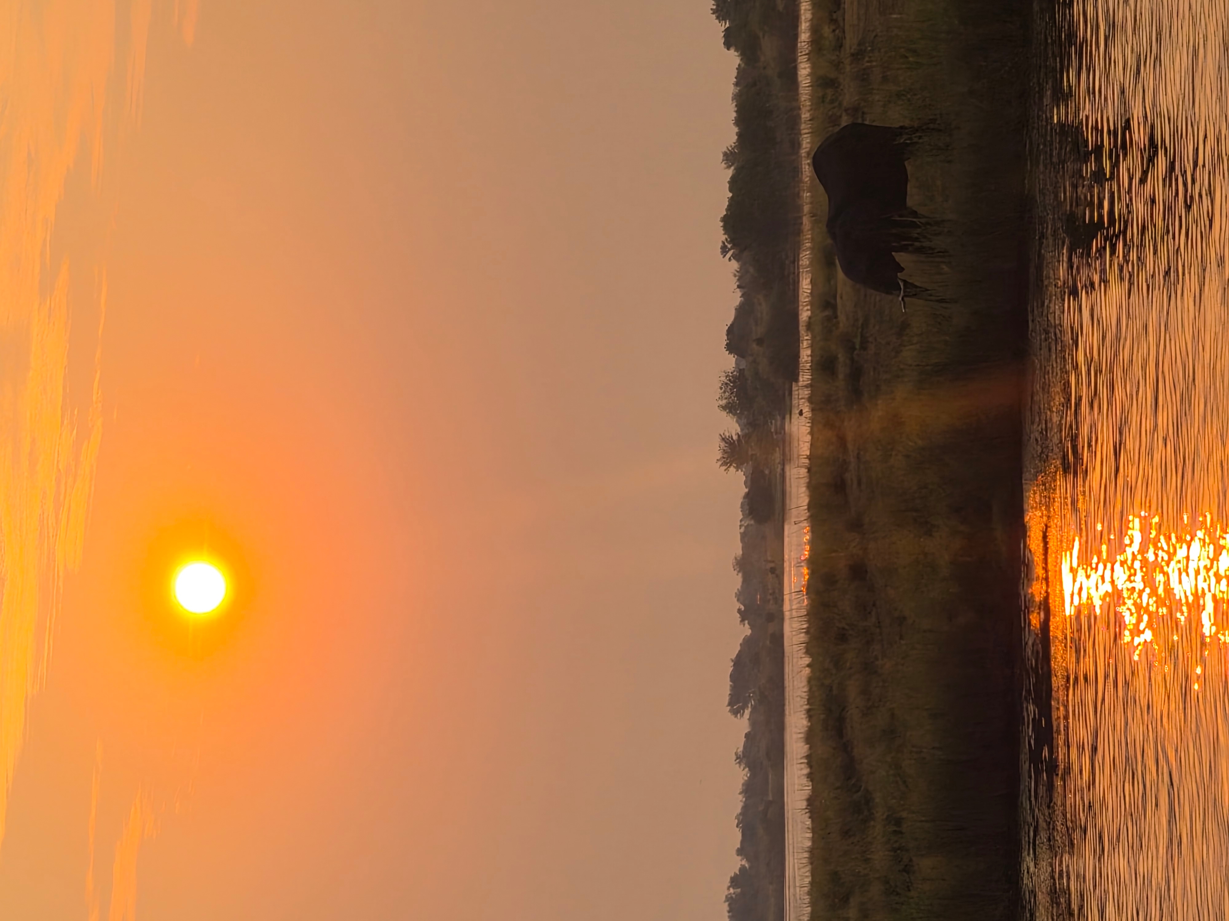8-daagse Okavango Delta & Chobe Express (Overnachting) customer review photo 5
