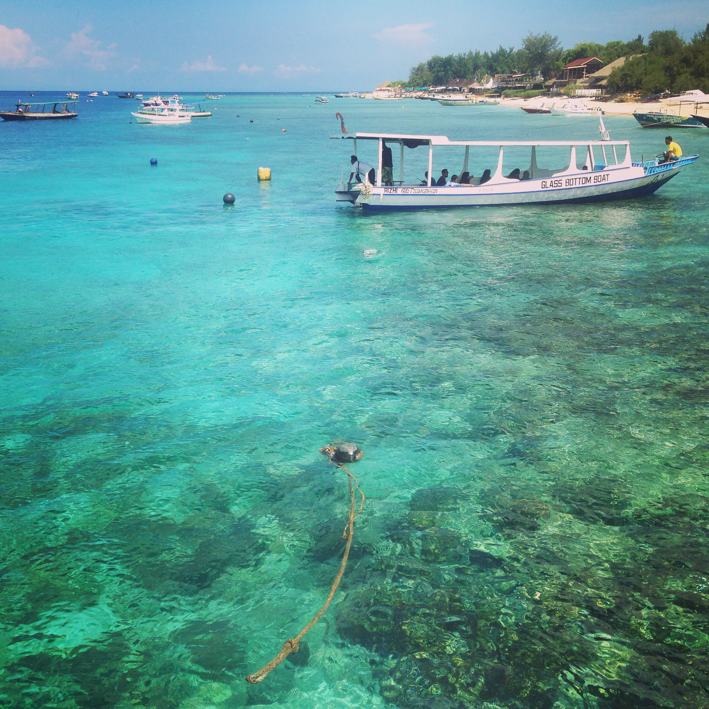 Bali Island Hopper (4 destinations) customer review photo 1