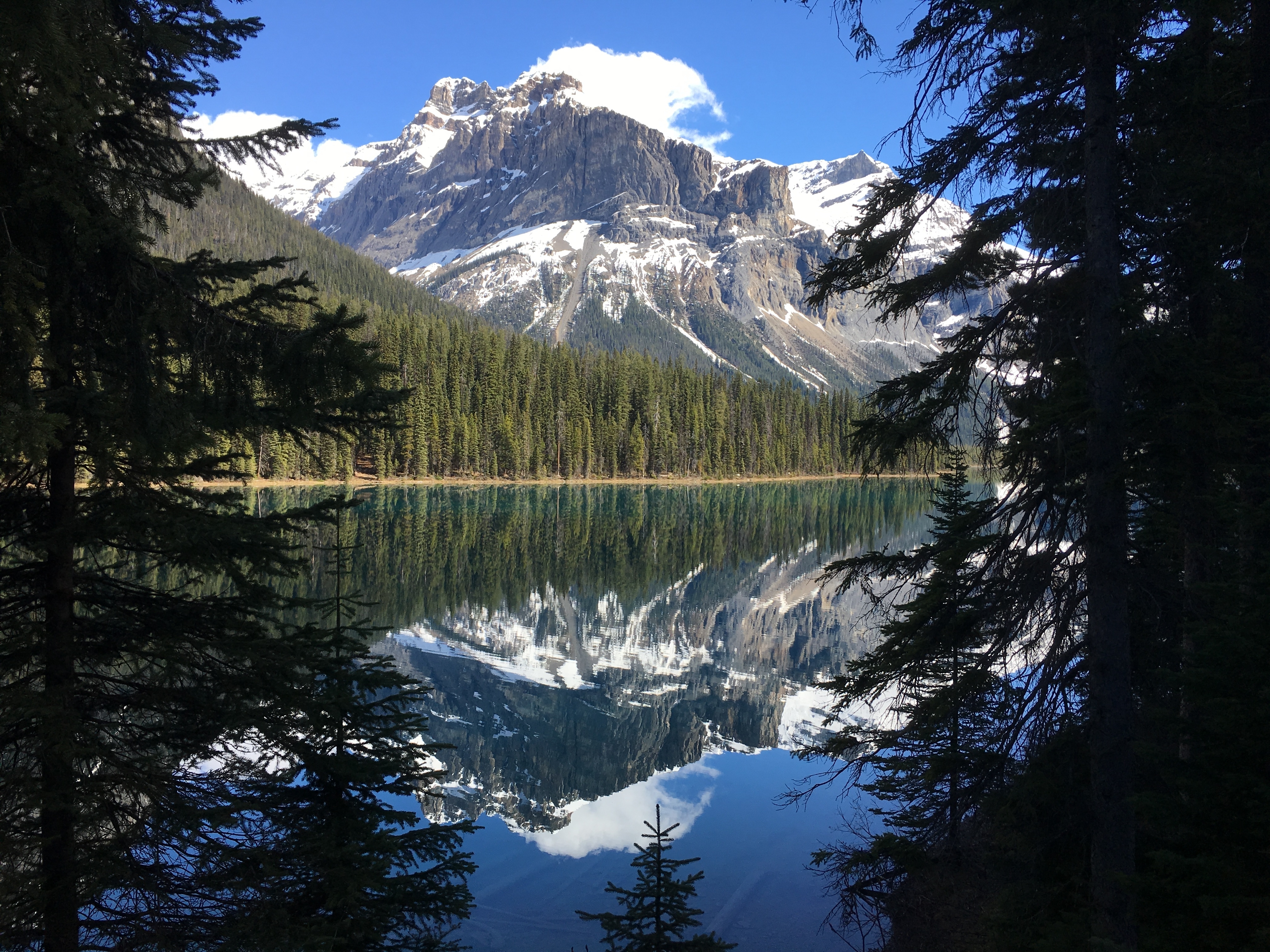 De Canadese Rockies - 7 dagen customer review photo 2