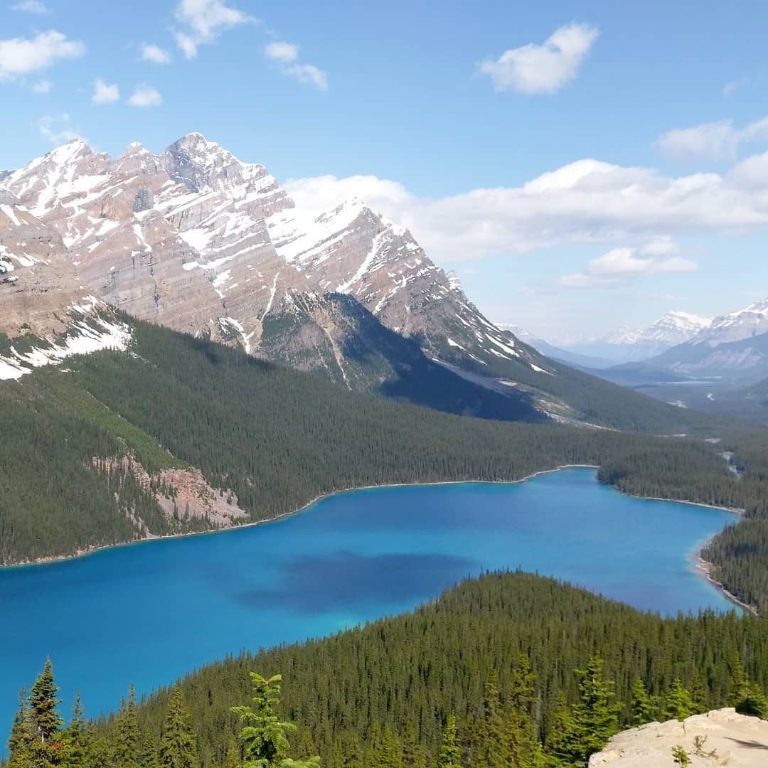 A mountain view with a blue lake surrounded by forests.