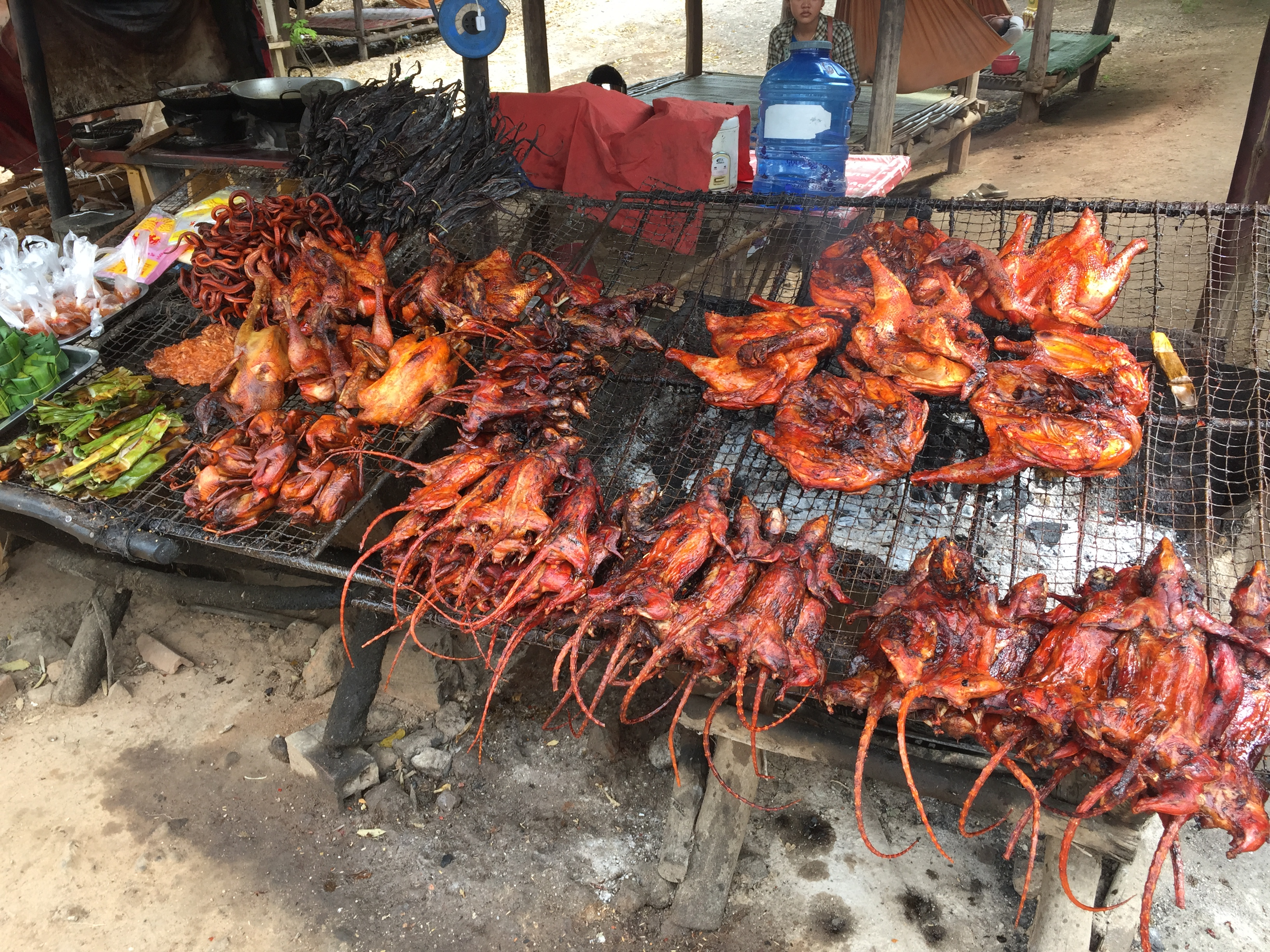 Cambodia Adventure - 9 Day customer review photo 1