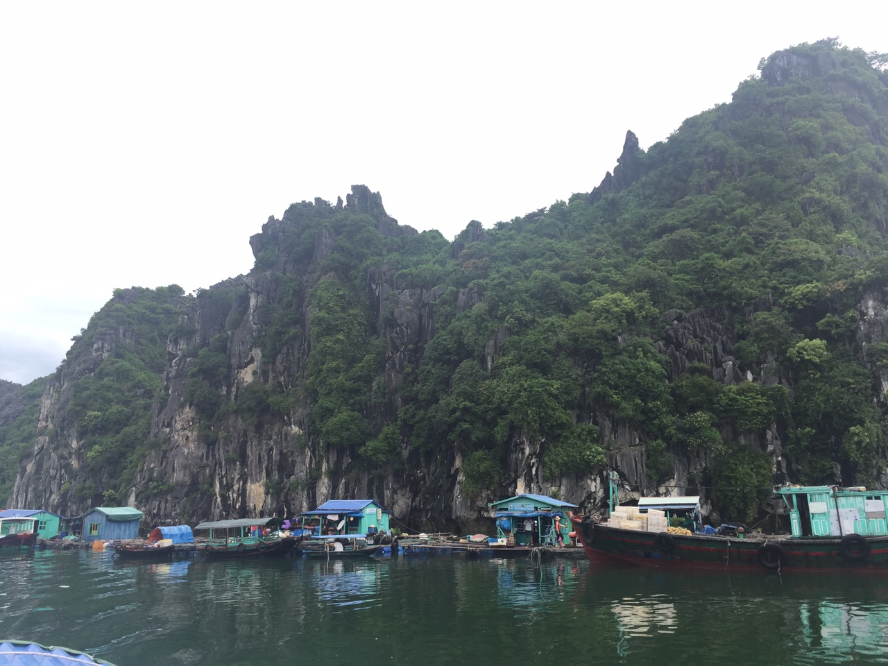 15 Days: Nature Forest Trekking, Rowing, Fishing, Hiking, Swimming, Kayaking, Monkey Island, Hue, Hoi An, Cai Rang Floating market, Cu Chi tunnel customer review photo 3