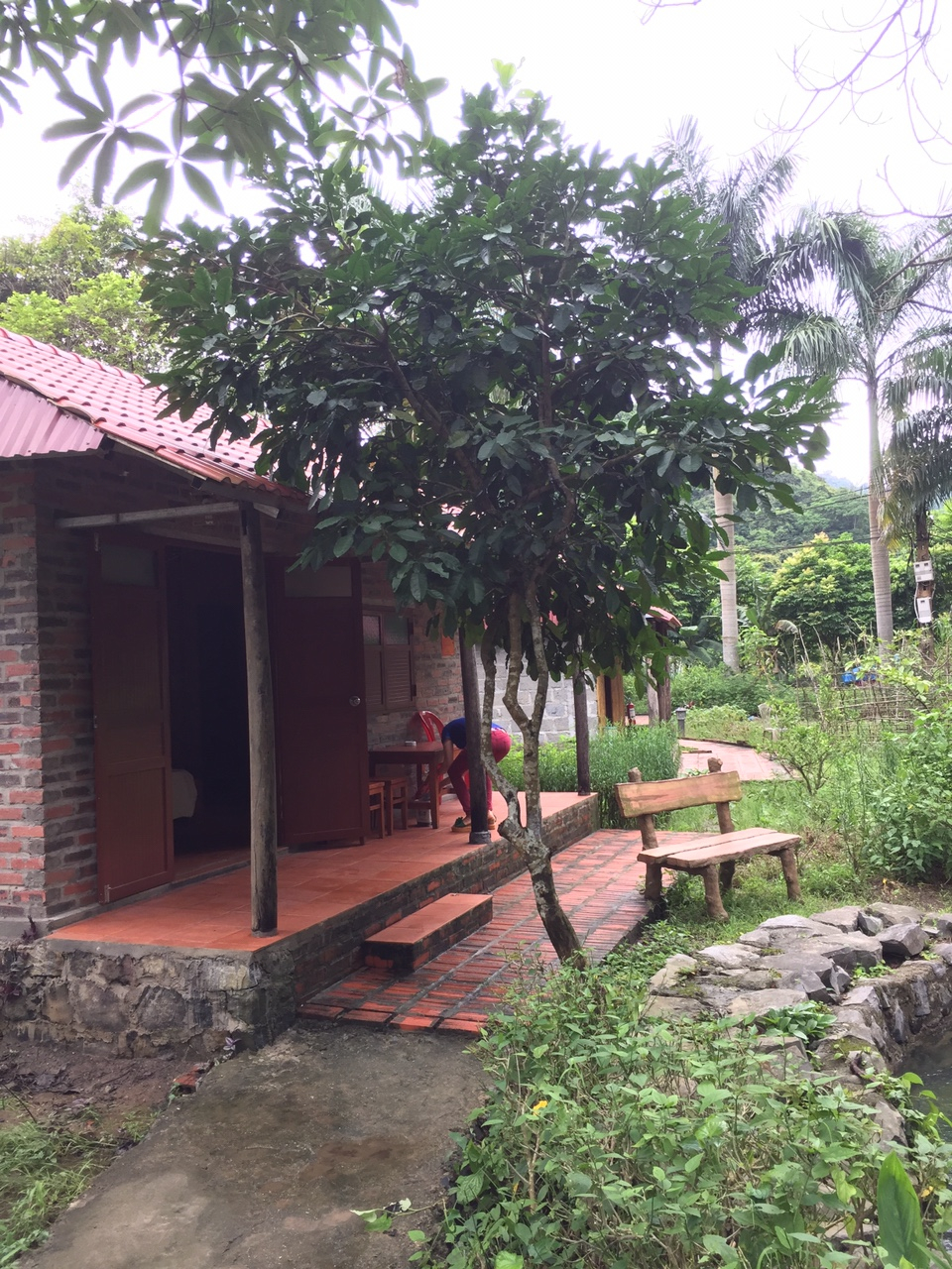 15 Days: Nature Forest Trekking, Rowing, Fishing, Hiking, Swimming, Kayaking, Monkey Island, Hue, Hoi An, Cai Rang Floating market, Cu Chi tunnel customer review photo 5