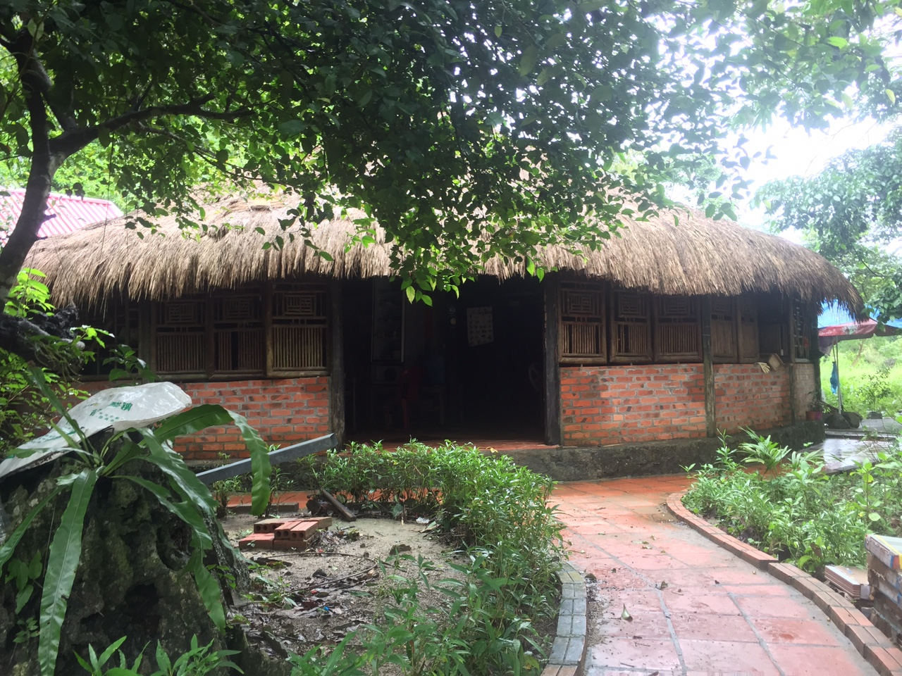 15 Days: Nature Forest Trekking, Rowing, Fishing, Hiking, Swimming, Kayaking, Monkey Island, Hue, Hoi An, Cai Rang Floating market, Cu Chi tunnel customer review photo 4