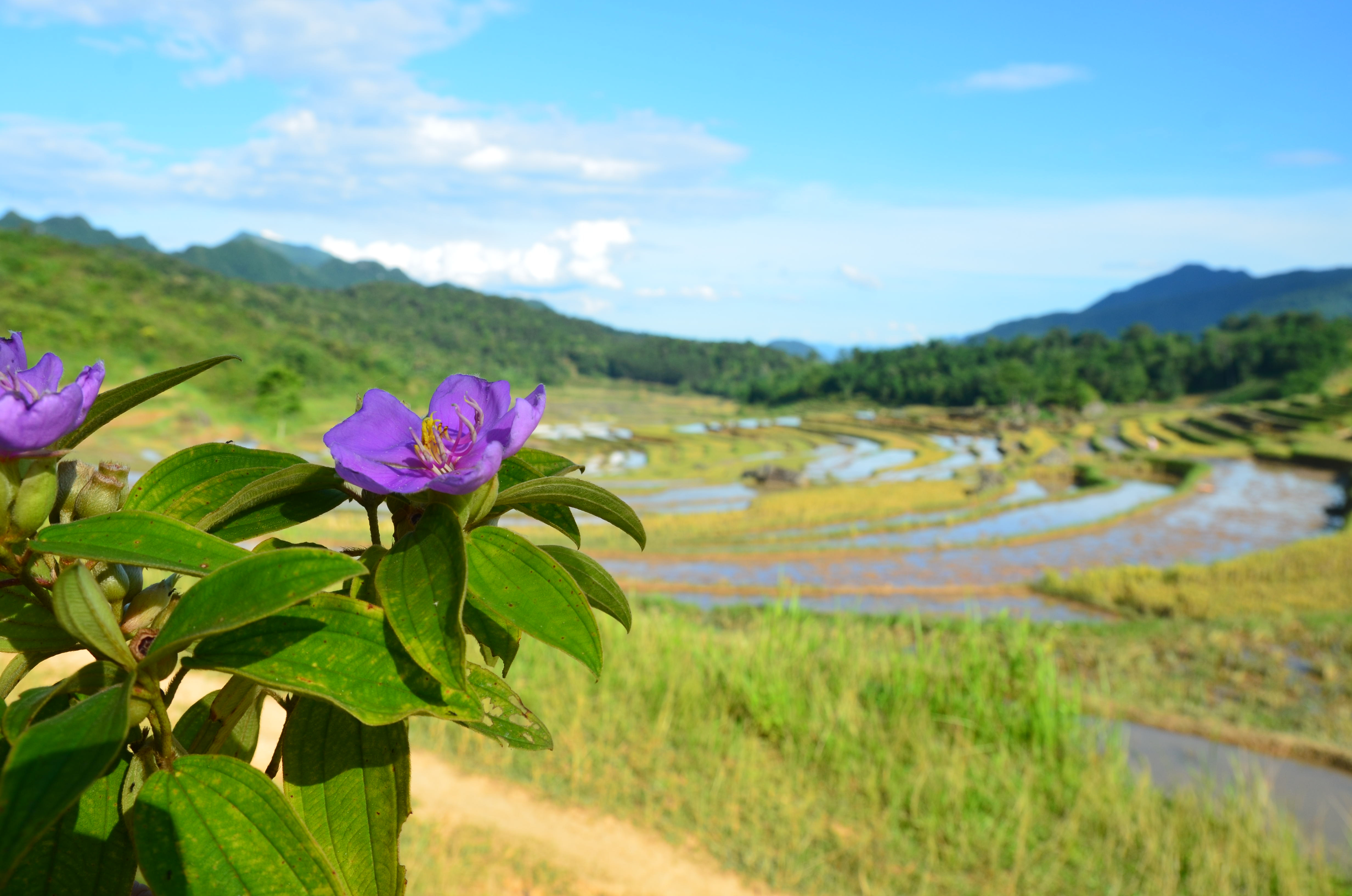 15 Days: Nature Forest Trekking, Rowing, Fishing, Hiking, Swimming, Kayaking, Monkey Island, Hue, Hoi An, Cai Rang Floating market, Cu Chi tunnel customer review photo 2