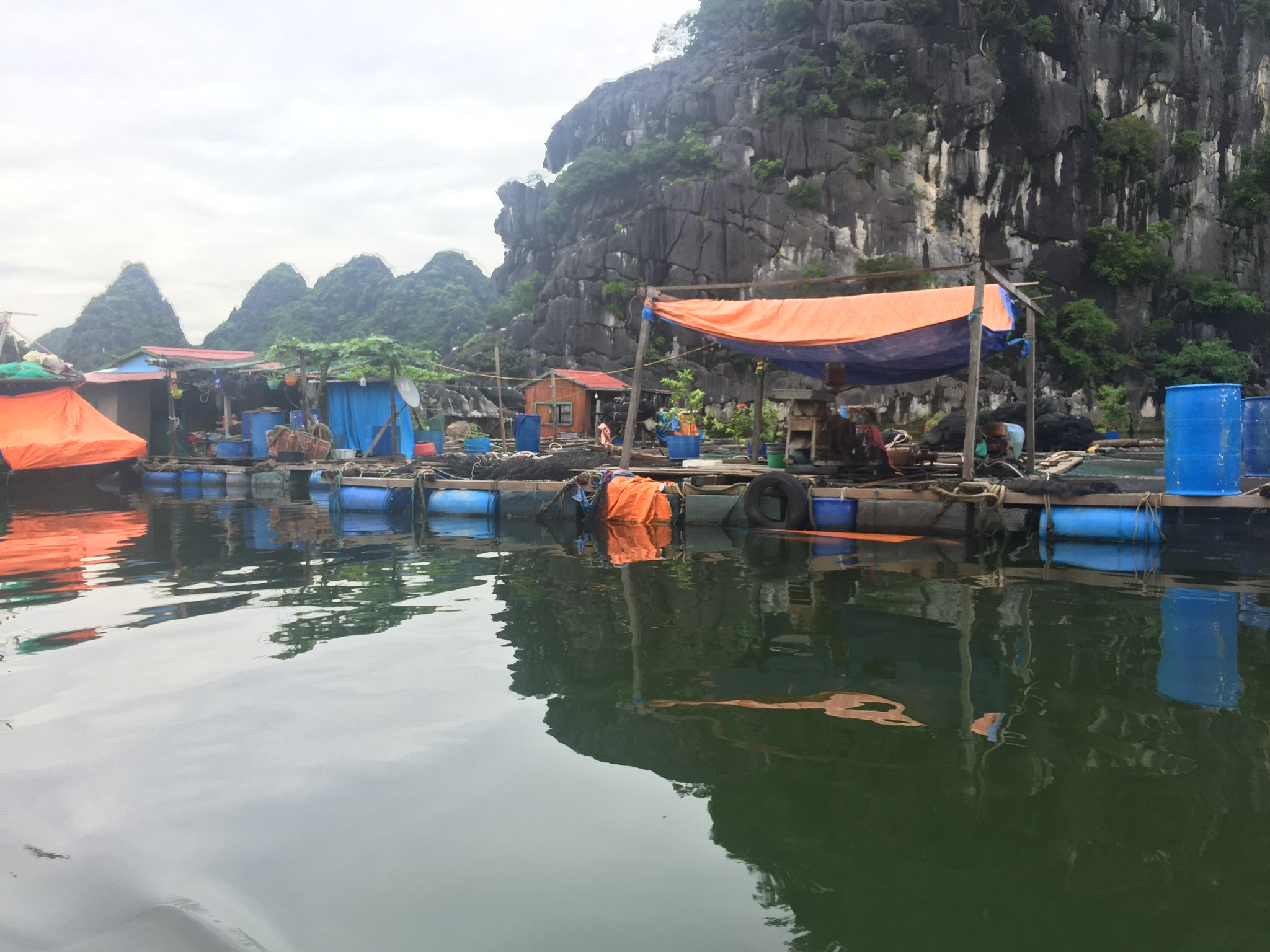 15 Days: Nature Forest Trekking, Rowing, Fishing, Hiking, Swimming, Kayaking, Monkey Island, Hue, Hoi An, Cai Rang Floating market, Cu Chi tunnel customer review photo 1