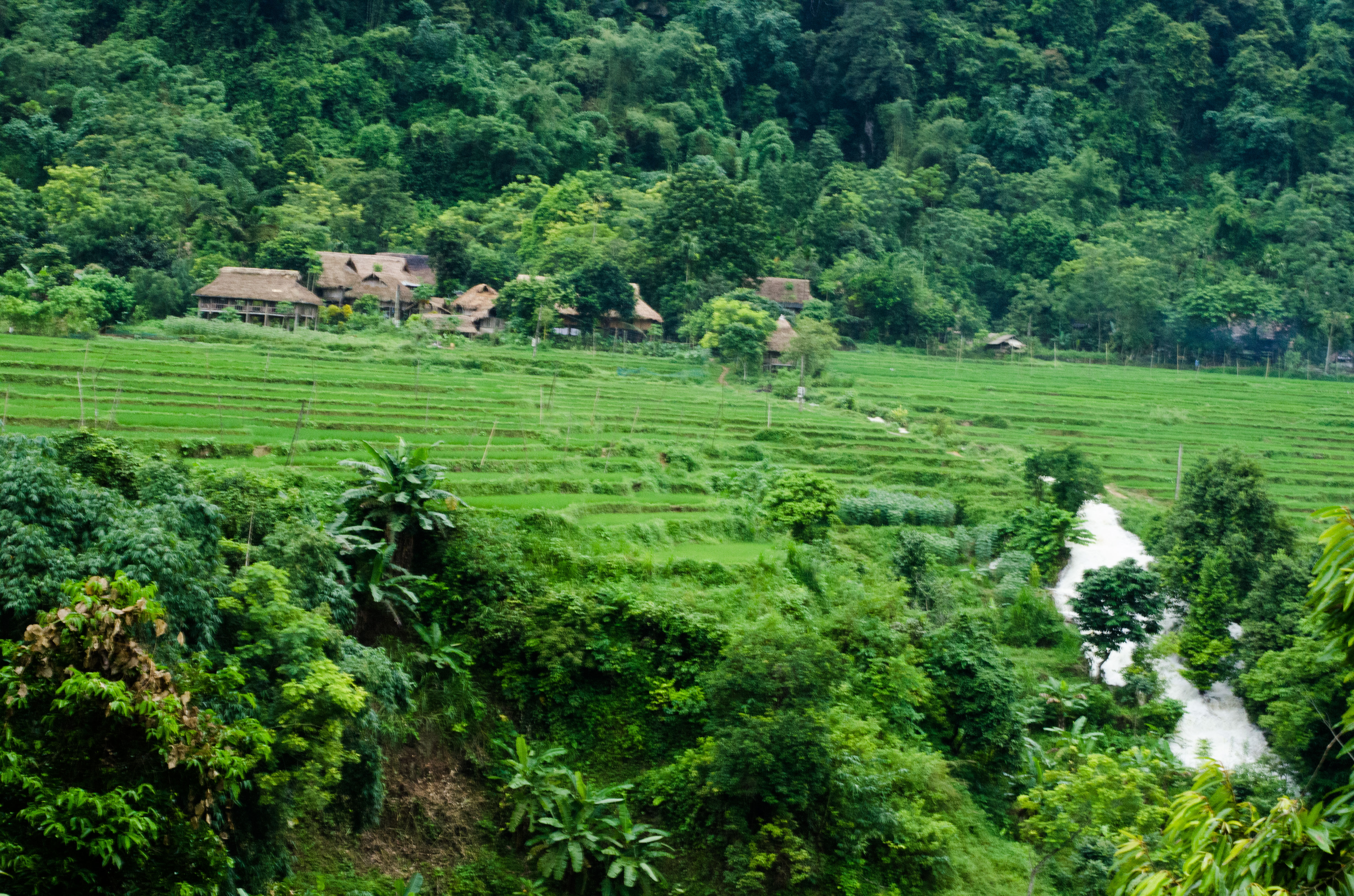 5 Days: Nature Forest Trekking, Tam Coc Fishing, Cycling, Rowing, Mua Cave and Hanoi City Discover customer review photo 2