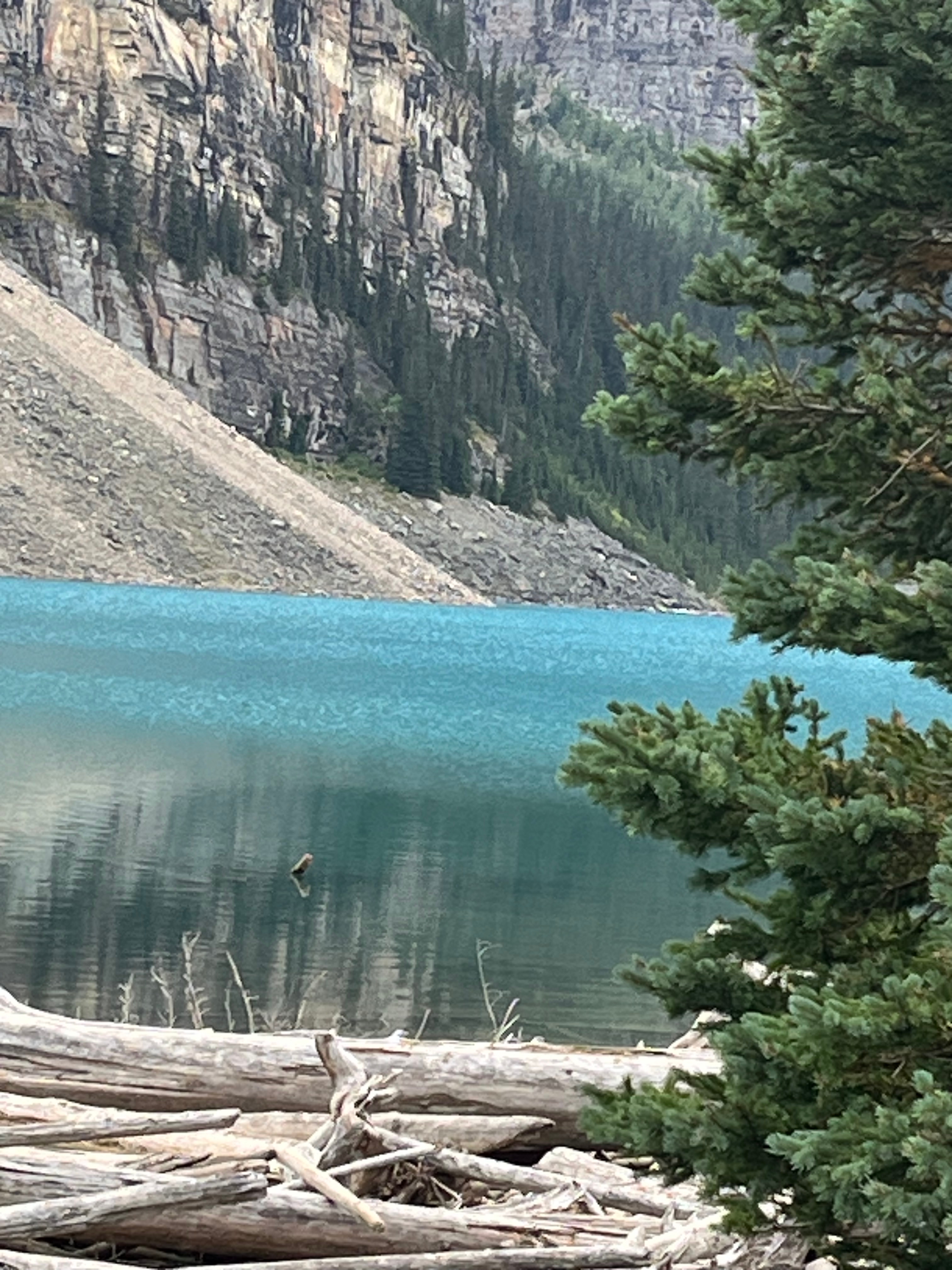 Rockies Premium ab Vancouver customer review photo 1