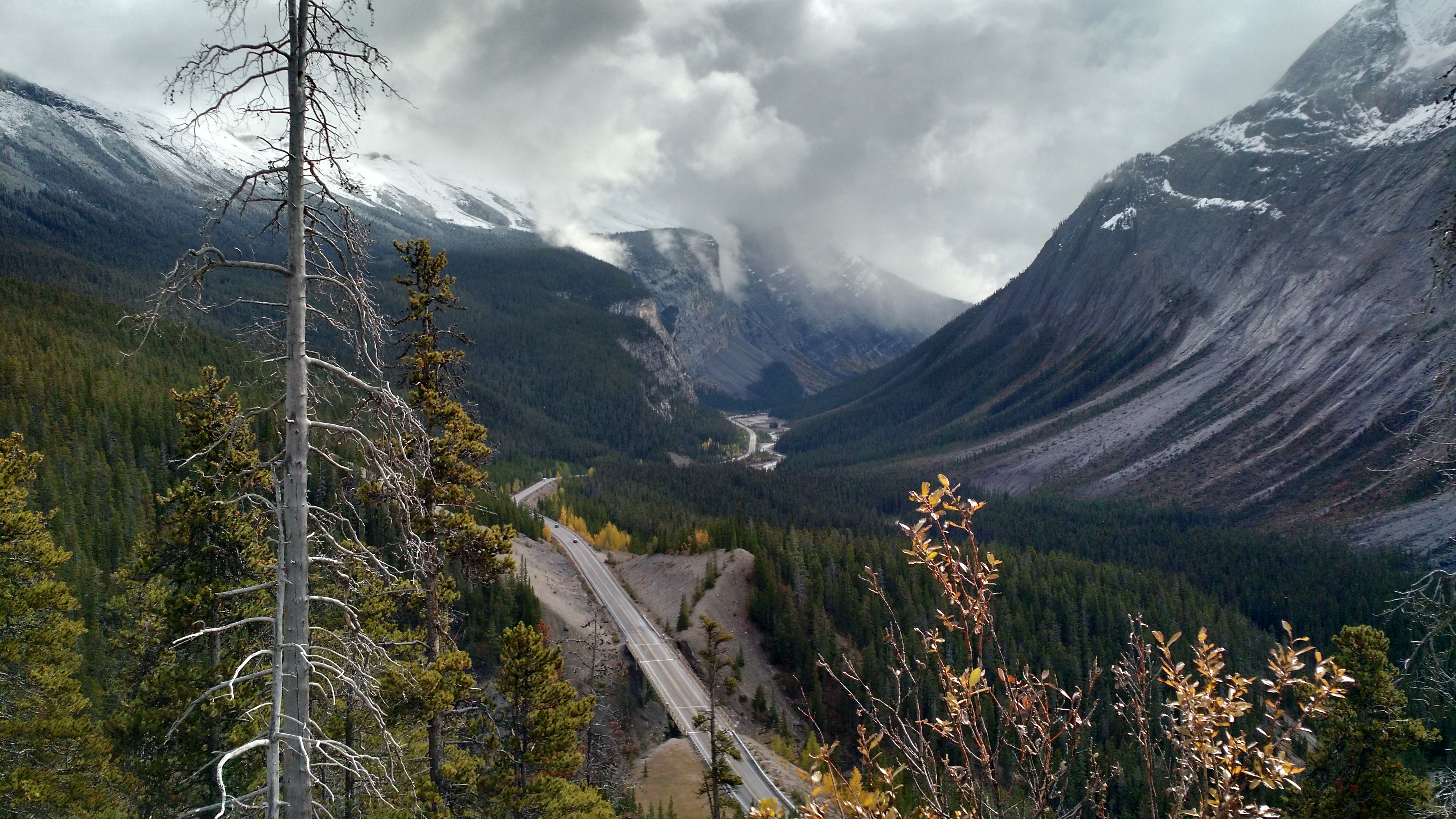 Athabasca - Moraine, Louise & Peyto Seen customer review photo 2