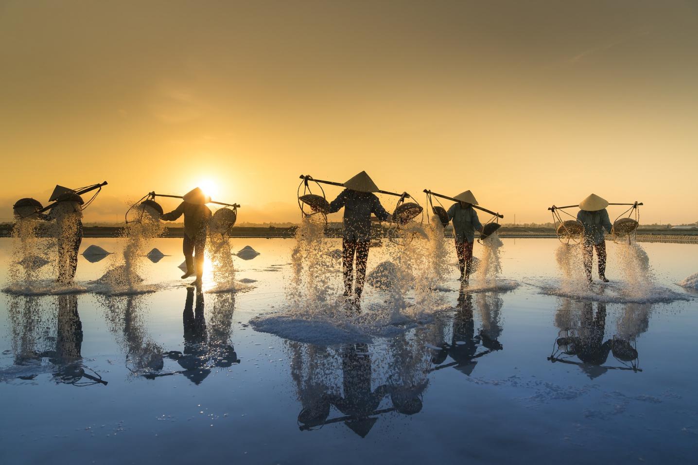 Indochina Tours Booking Co., Ltd