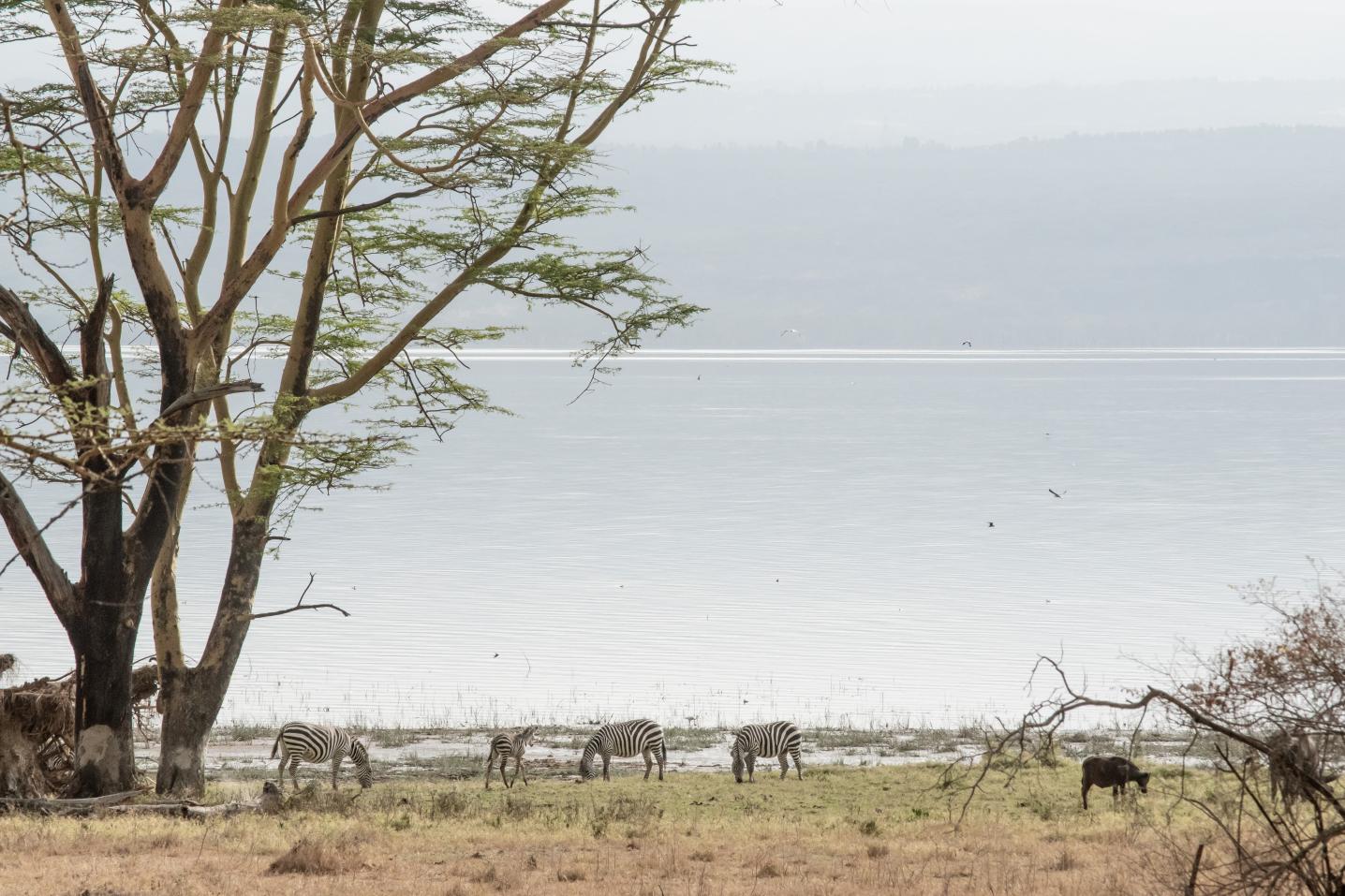 Trails of Africa