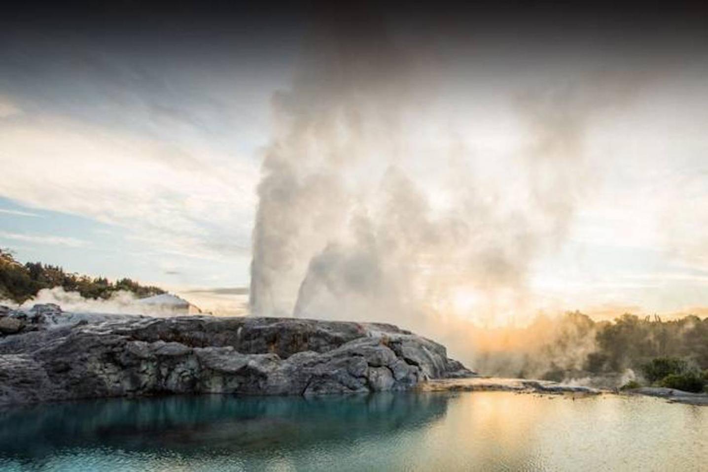 Top Tours NZ Limited