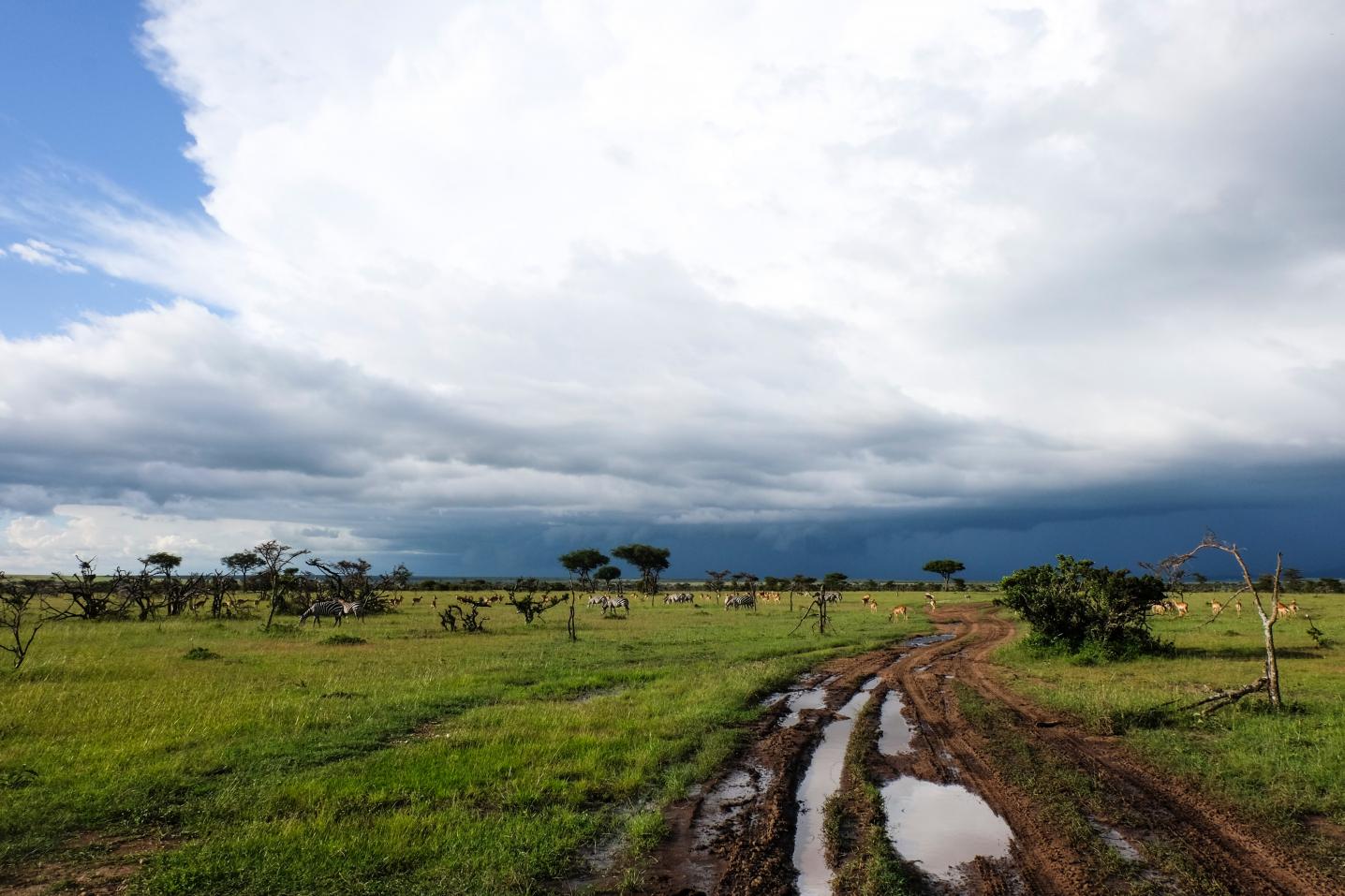 Dhahabu Tours and Safaris