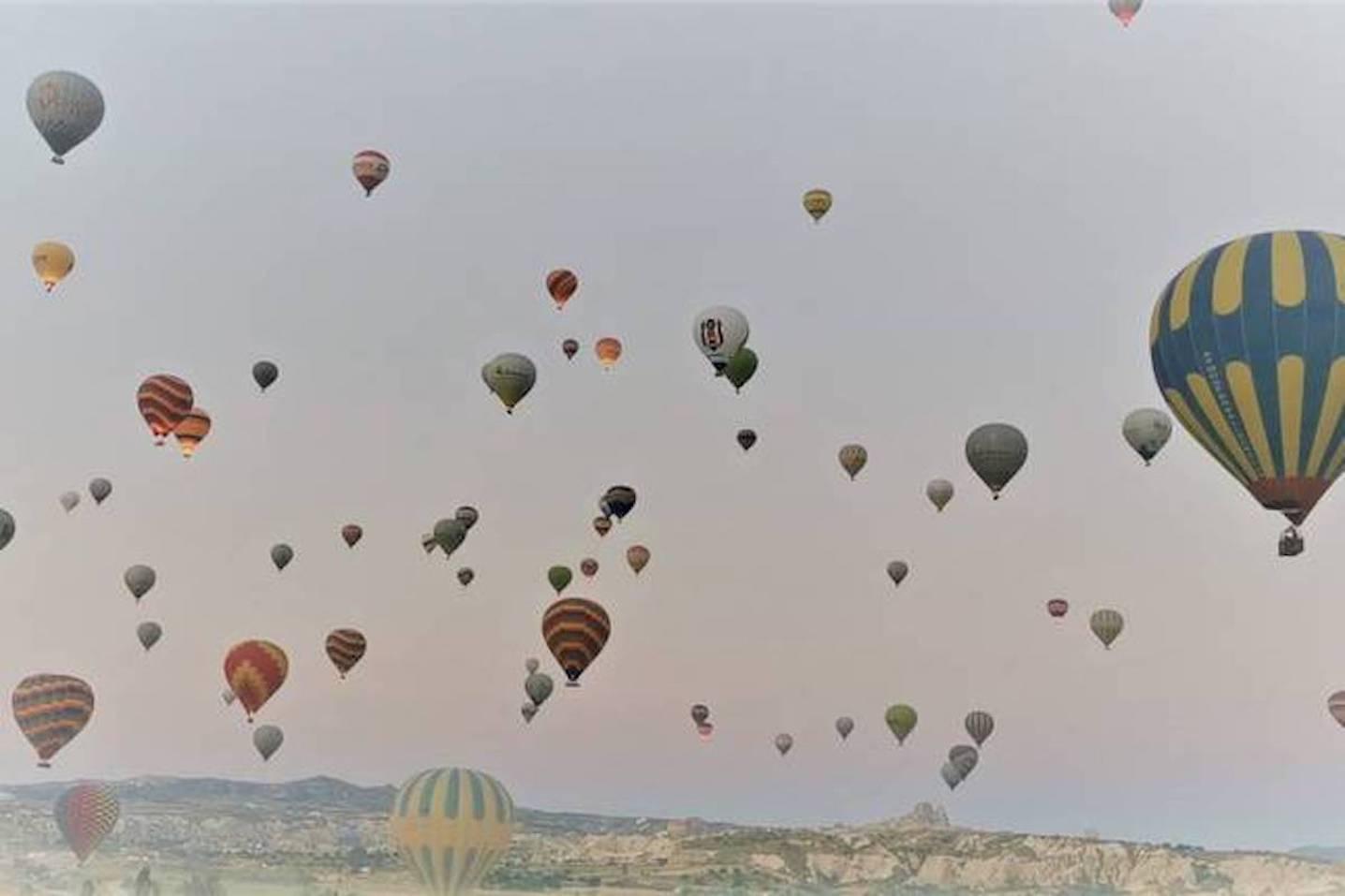 Felicity Travel