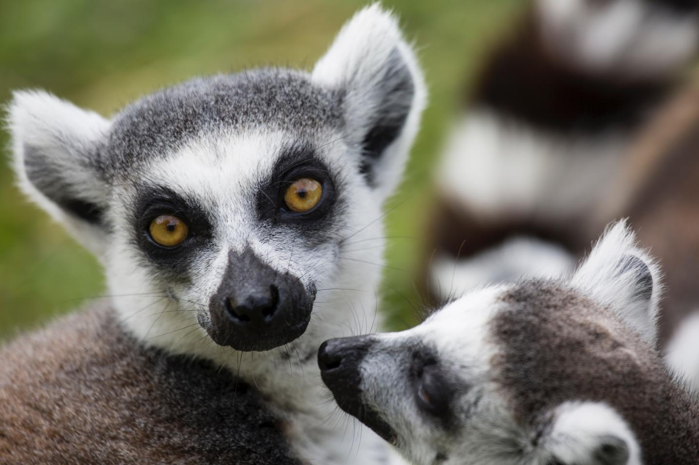 Zania Tours