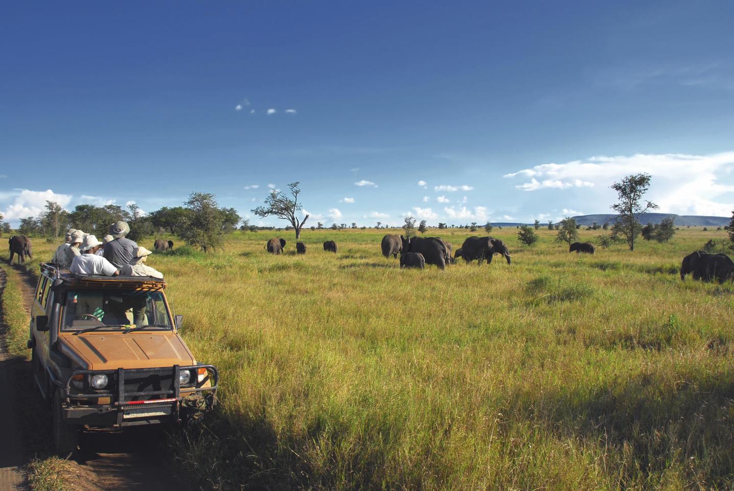 Real Life Adventure Travel