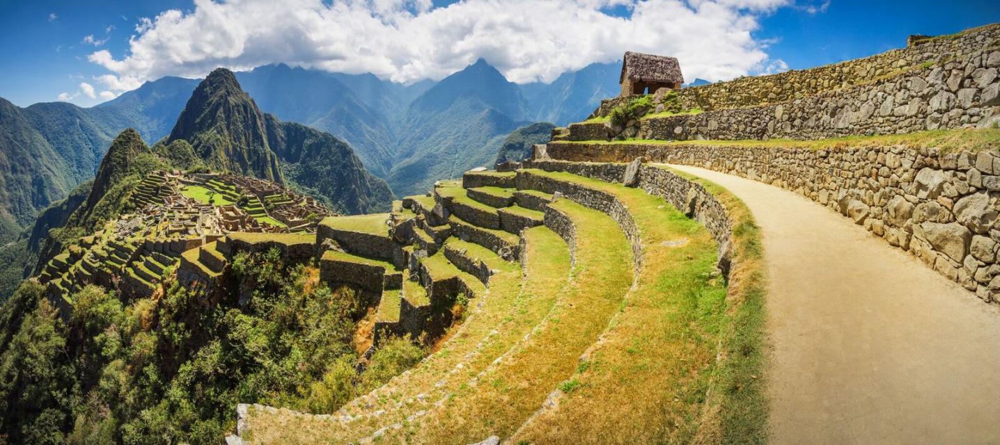 Condor Travel