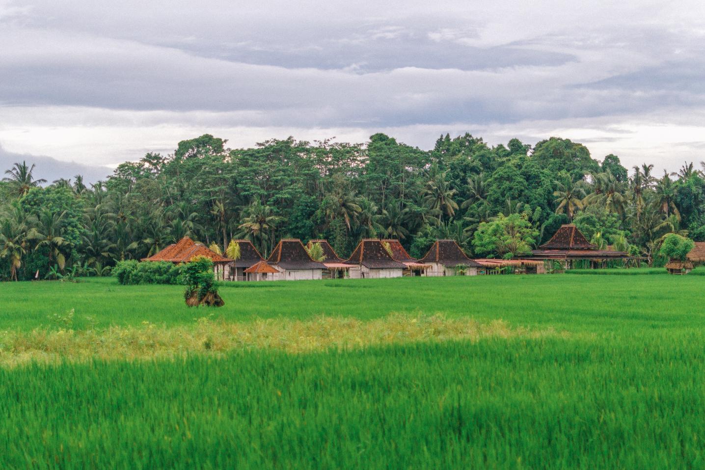 Vietnam By Bike