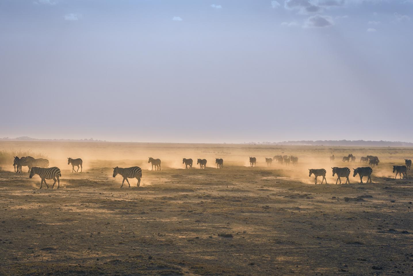SOUTHRIFT GALAXY SAFARIS
