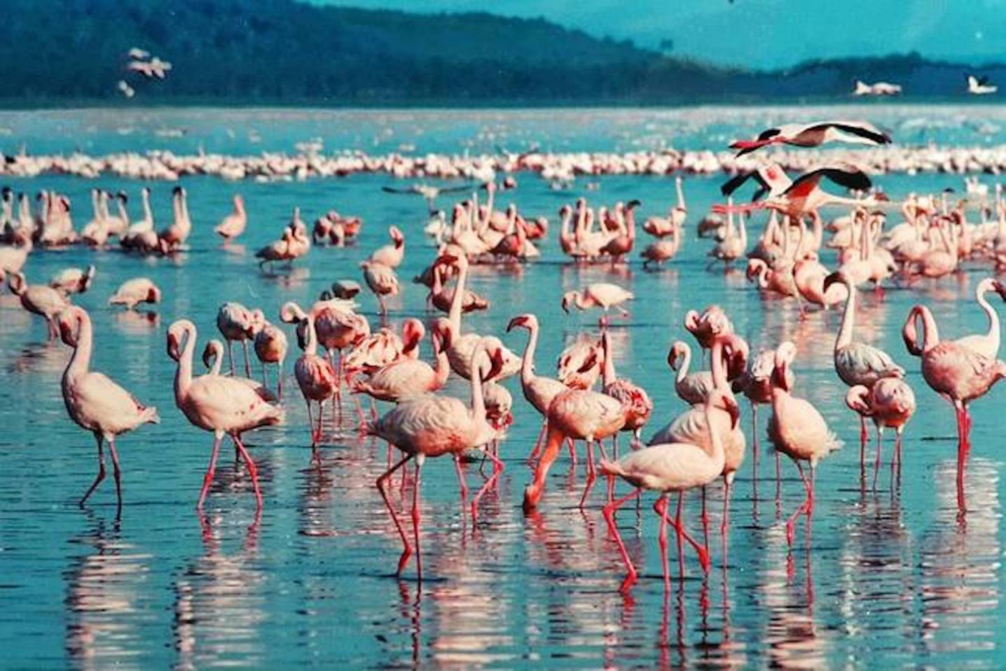Across Africa Tours & Travel